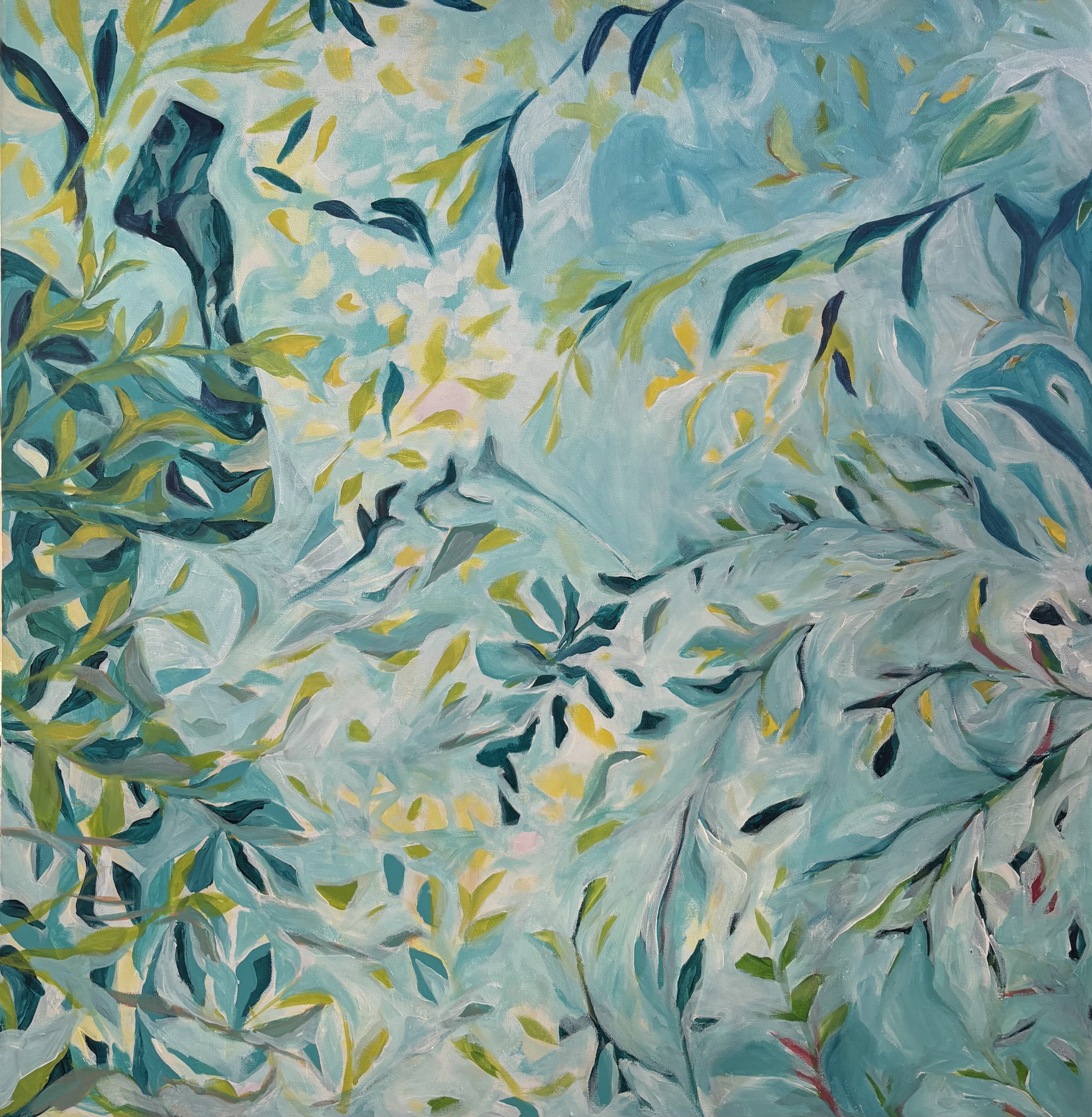 Shadows on the trails