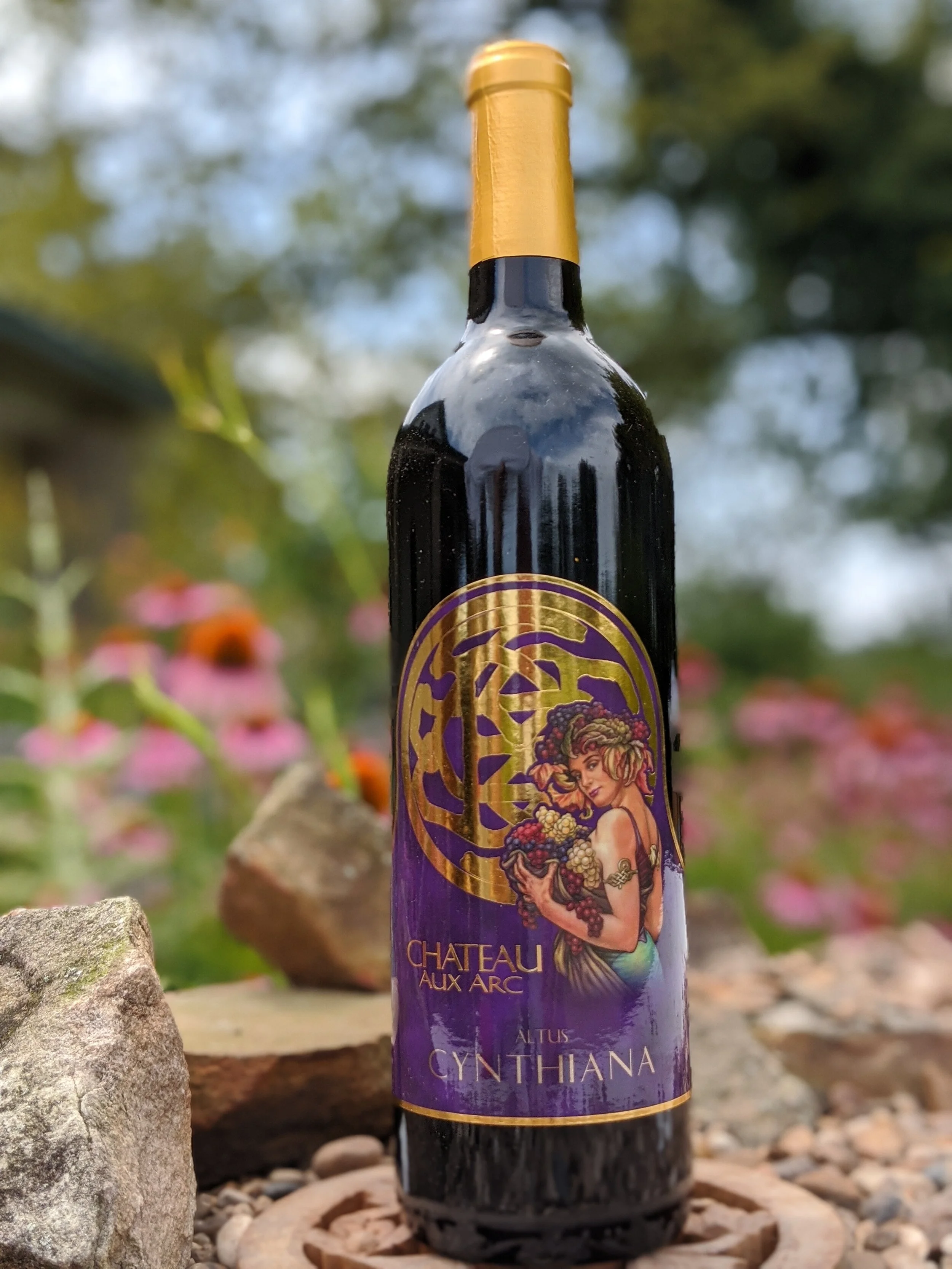 Cynthiana.purple.gold.jpg