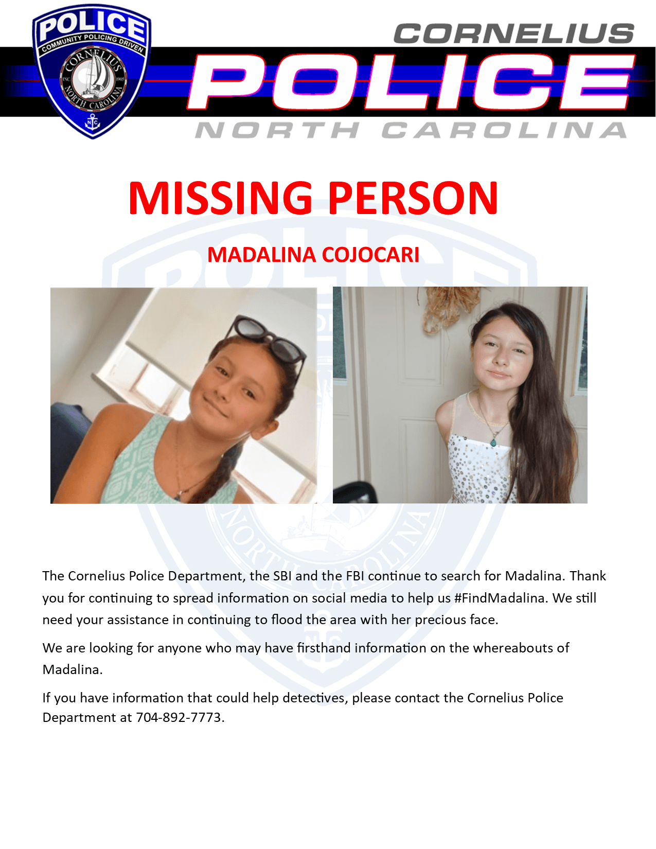 Madalina Cojocari's missing poster