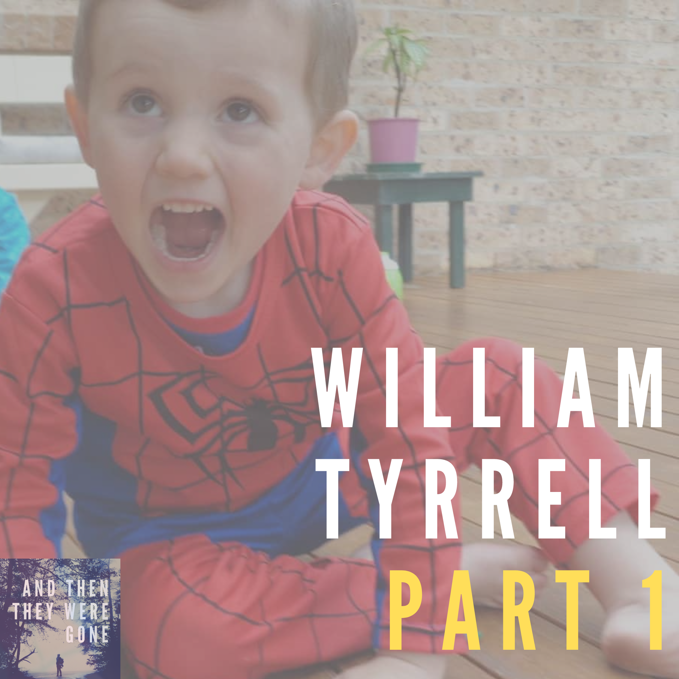 William Tyrrell part 1.png