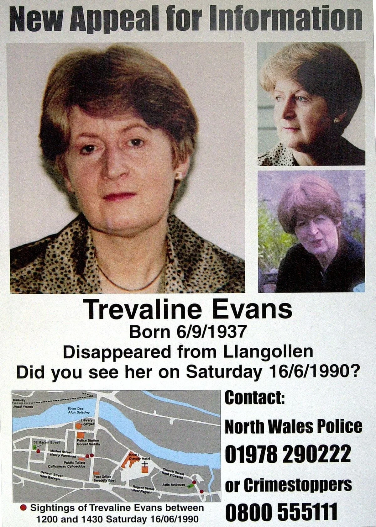 Unraveling the Mystery of Trevaline Evans: A Small Town Disappearance ...