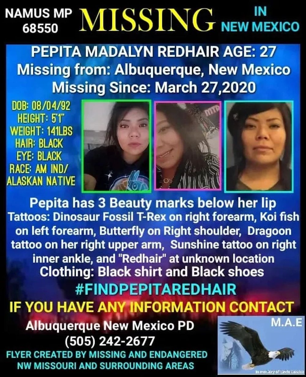 pepita redhair missing poster.jpeg