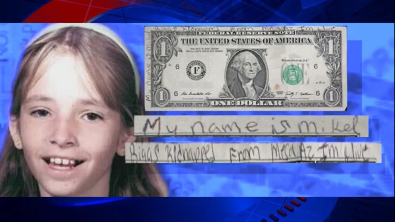 mikelle biggs dollar.webp