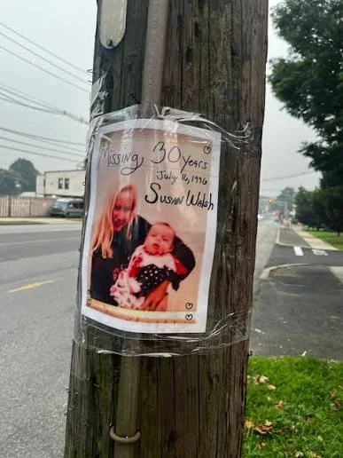 susan walsh power line.jpeg