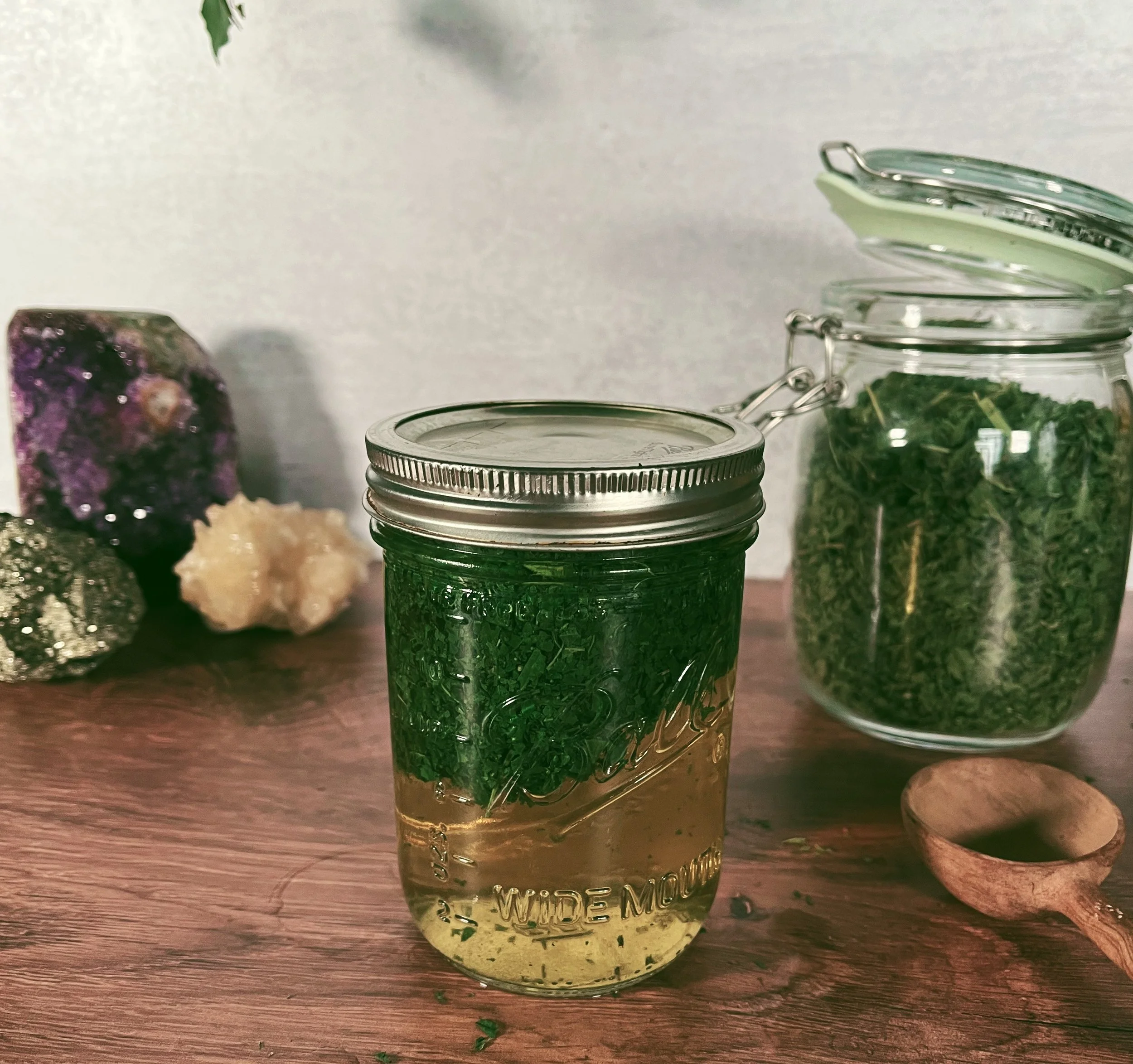 nettle infusion