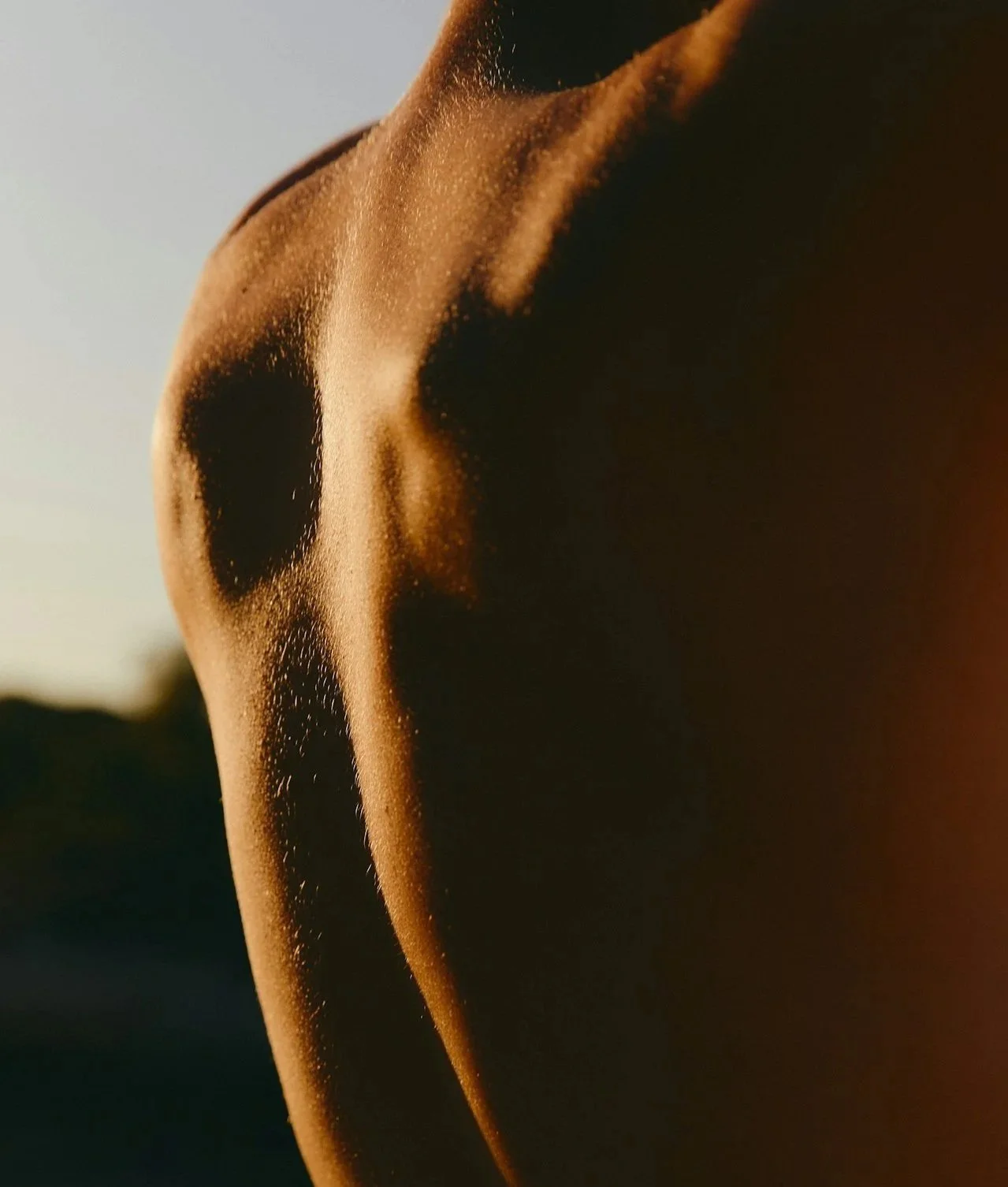 What Your Body Needs From Sunlight