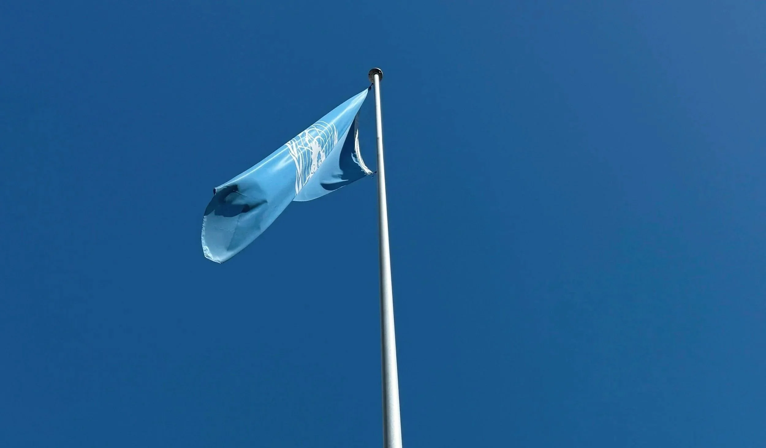 UN Declares Transatlantic Slave Trade "Gravest Crime Against Humanity"