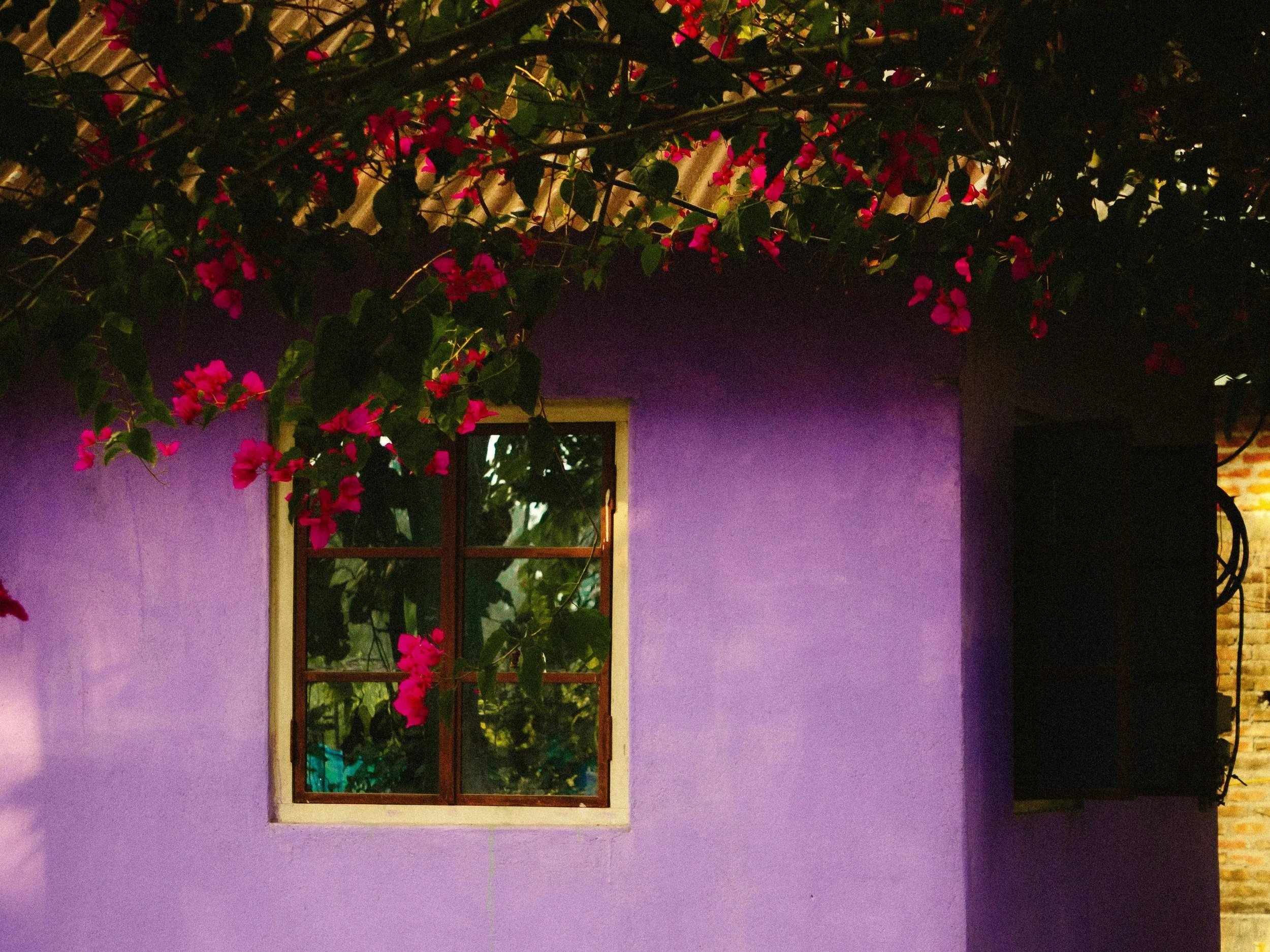 Gathered: summer afternoon self-destruct