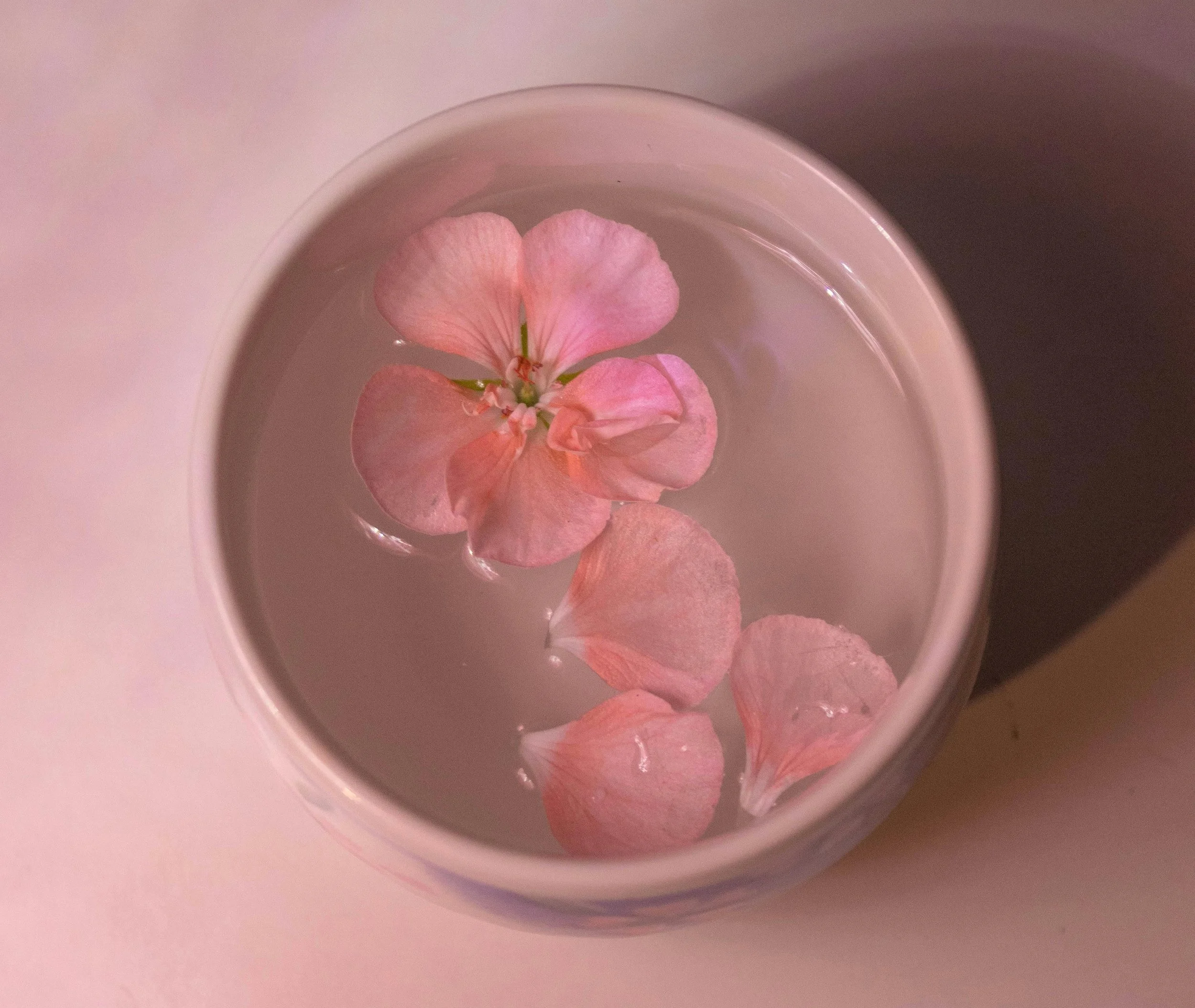 Spring Invites Us to Soften: A Holistic Esthetician on Spring Skincare