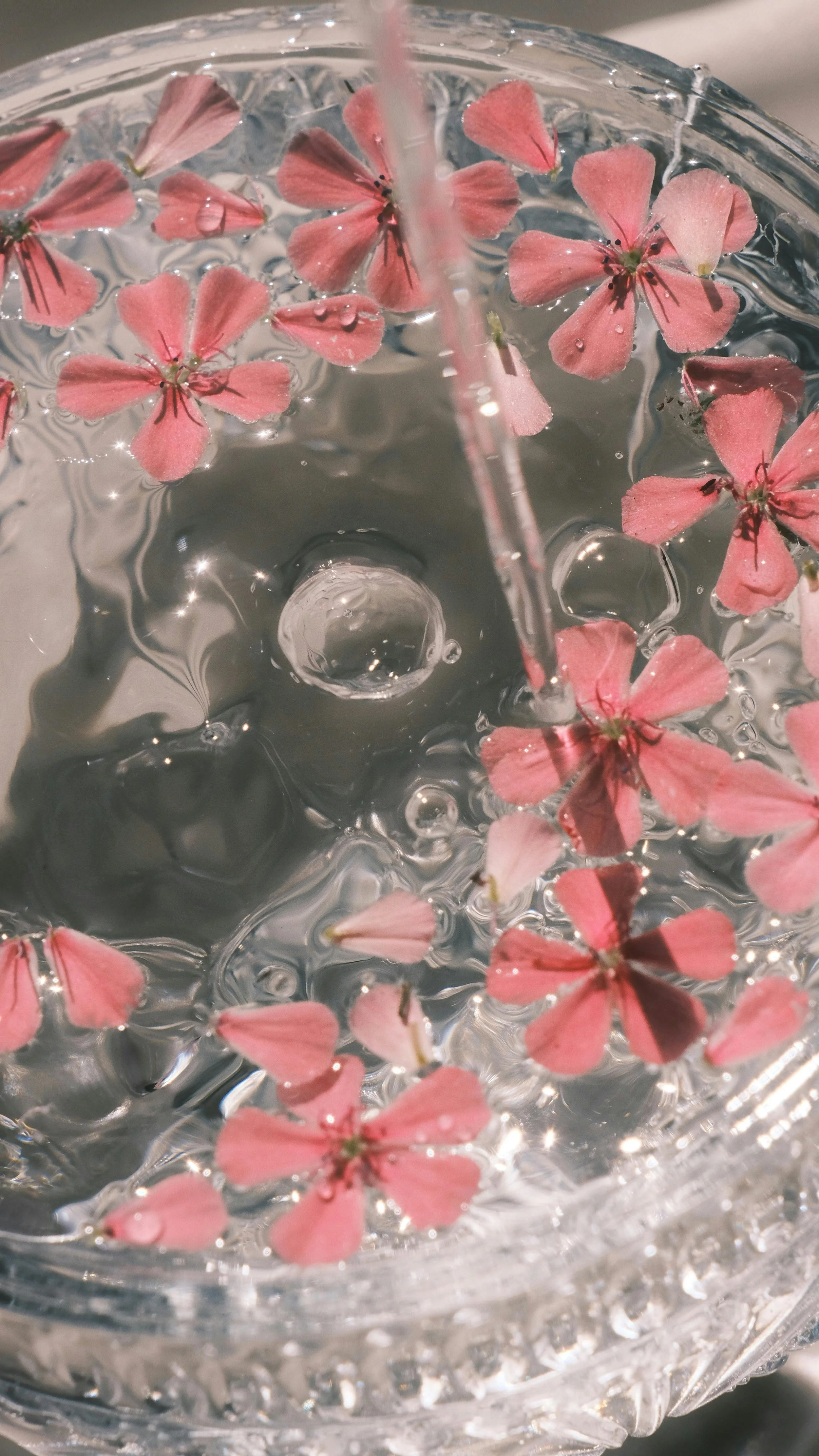 flowers and water