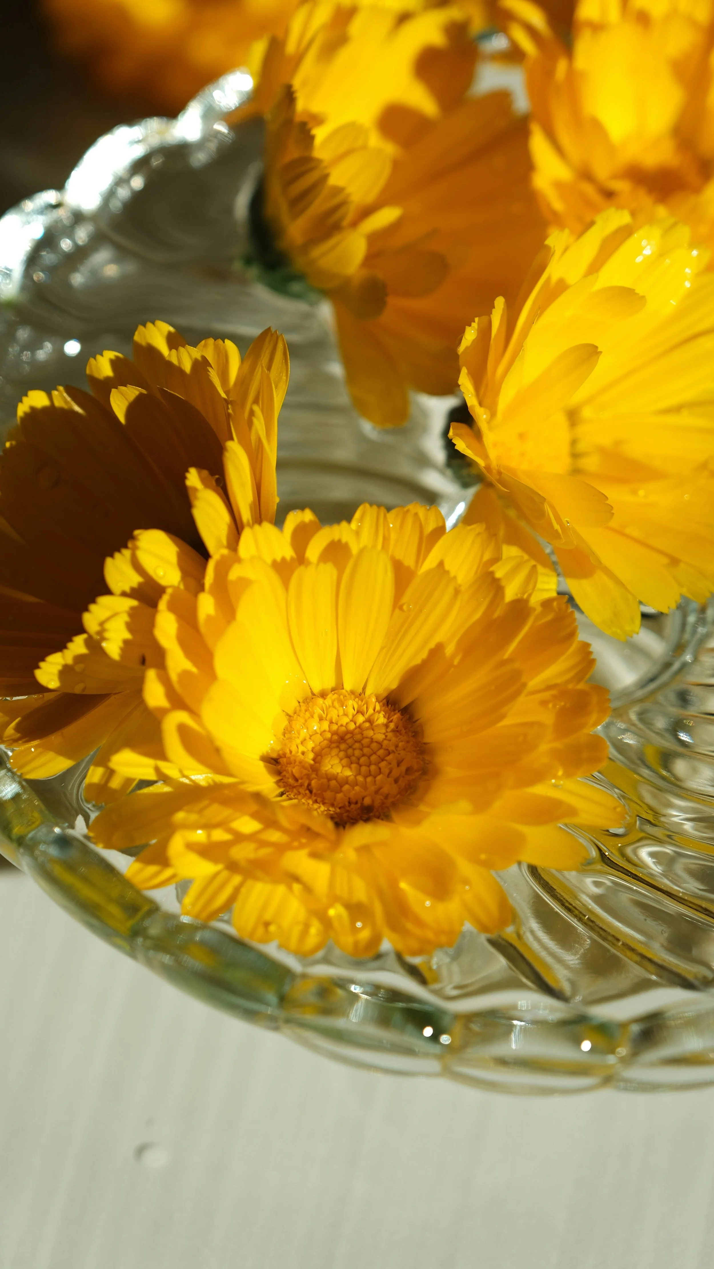 calendula flowers in a bowl of water