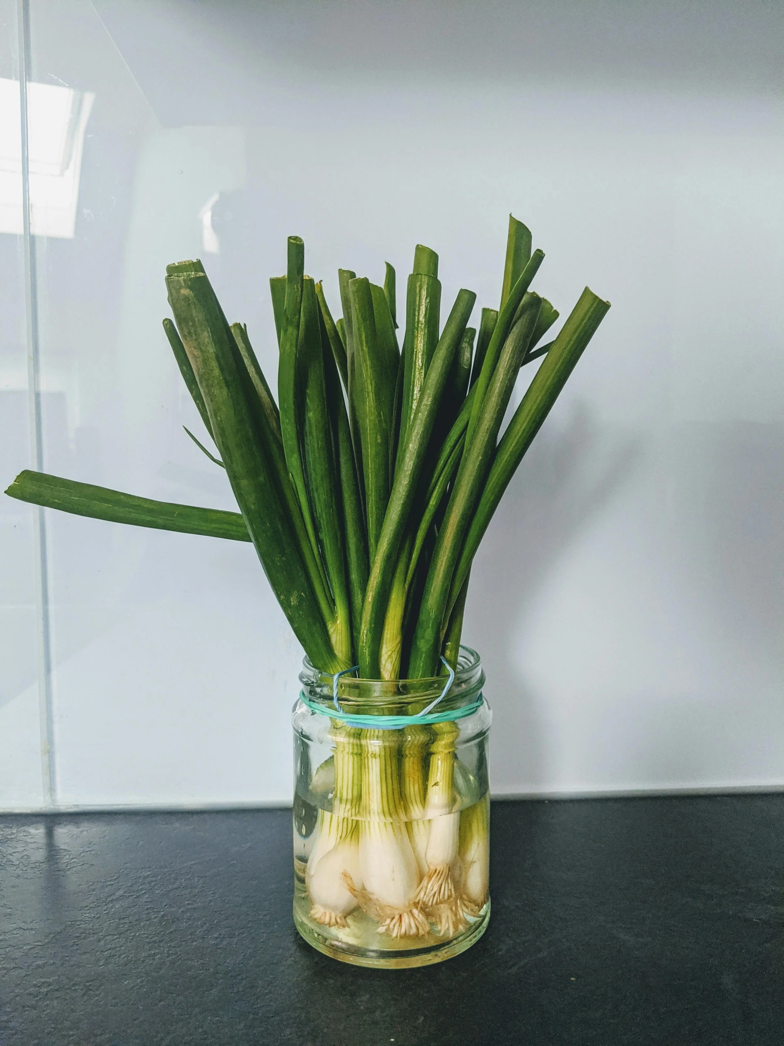 green onion in jar