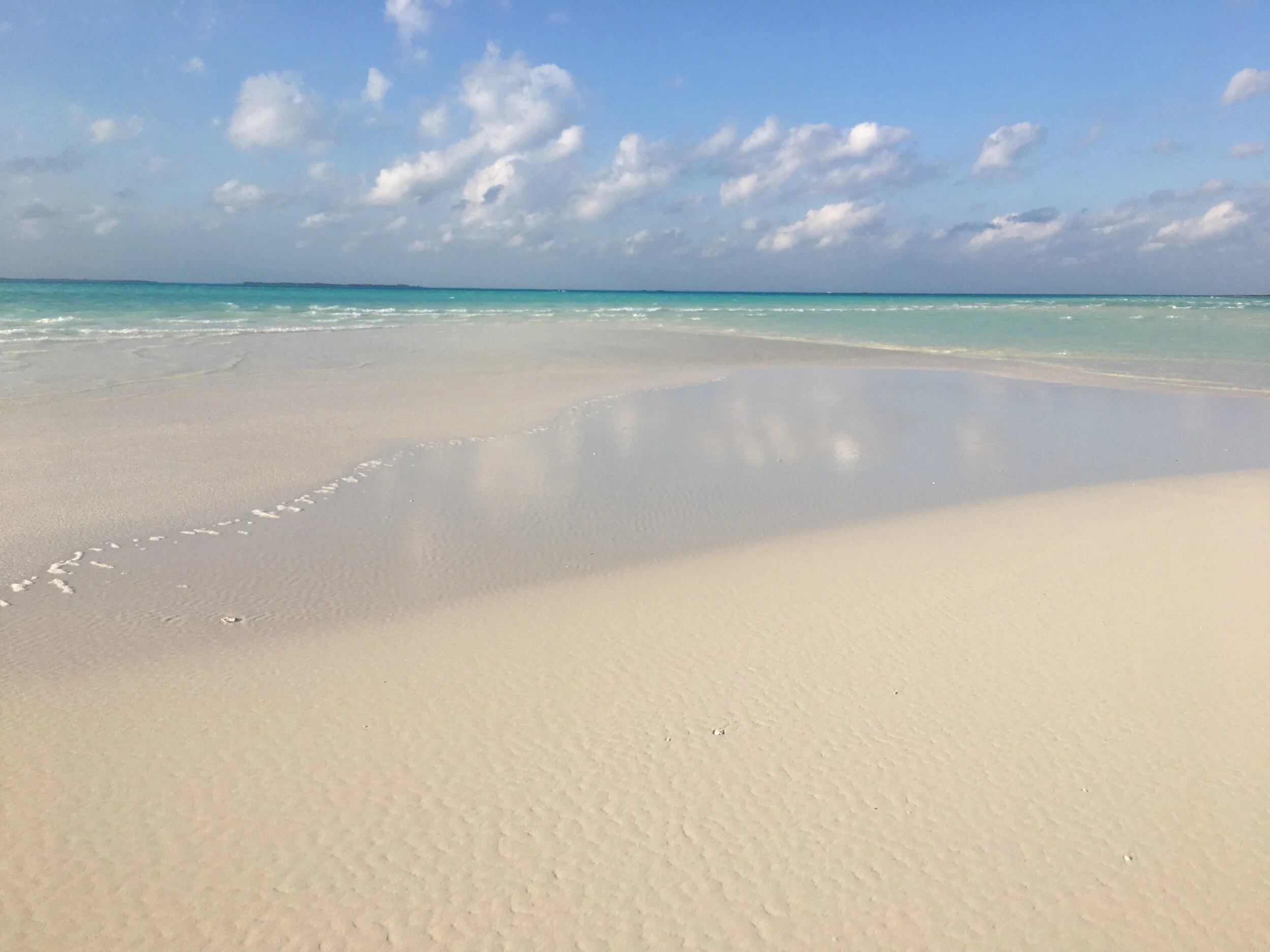 Morning tide