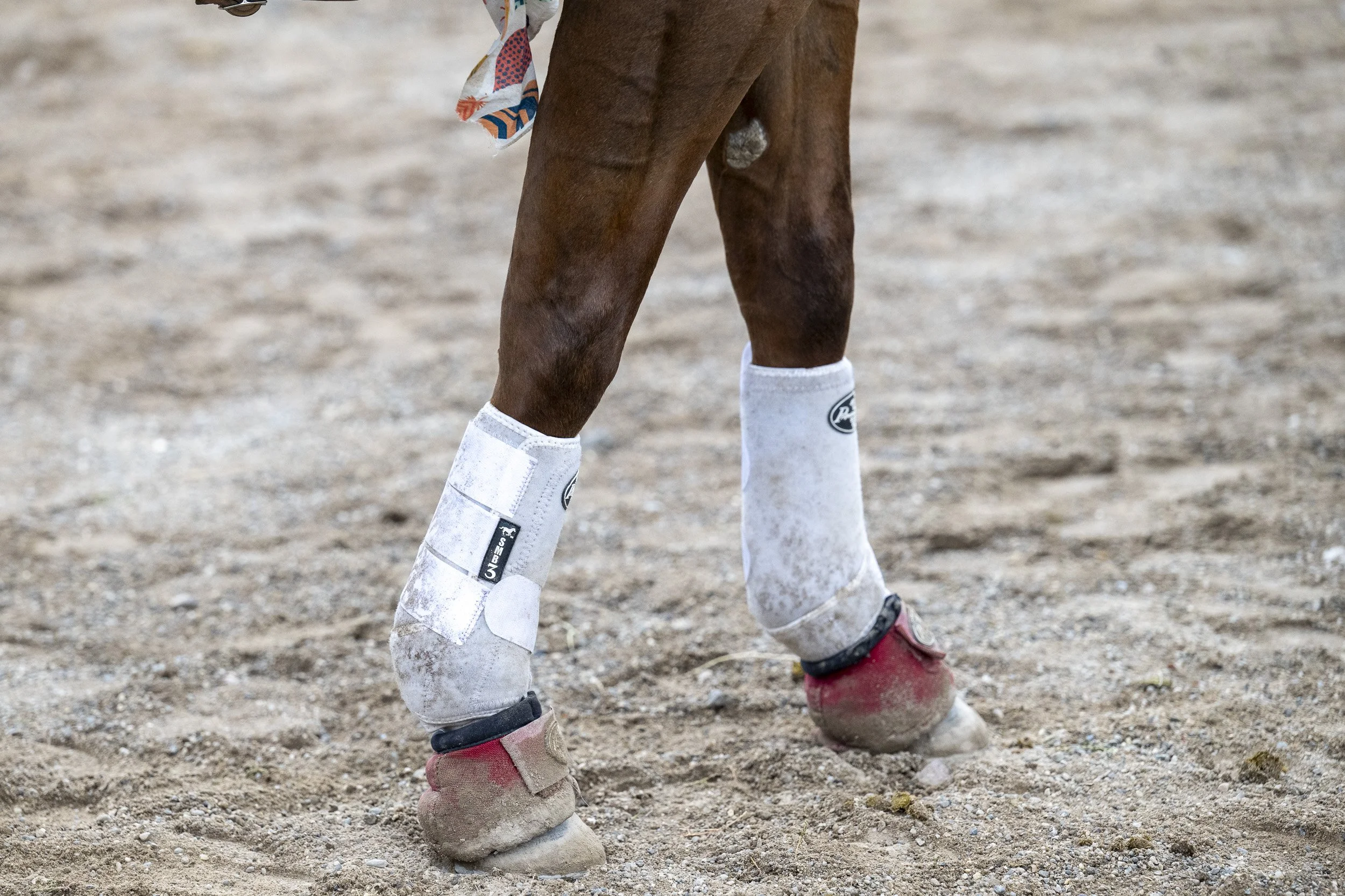 Sure Footing