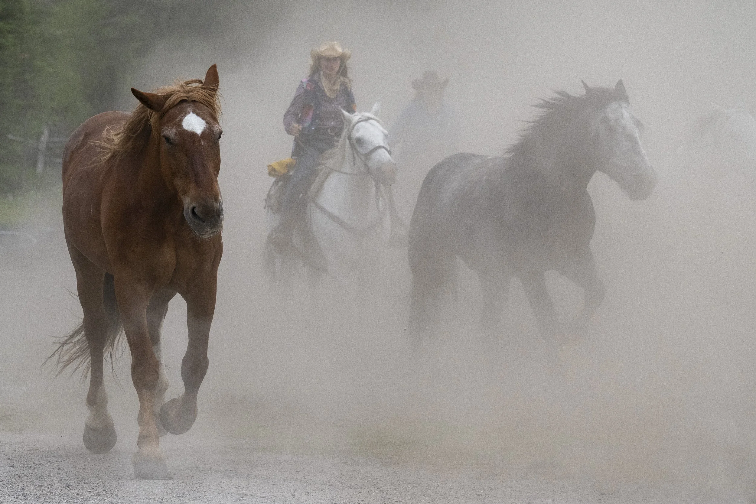 Out of the Dust
