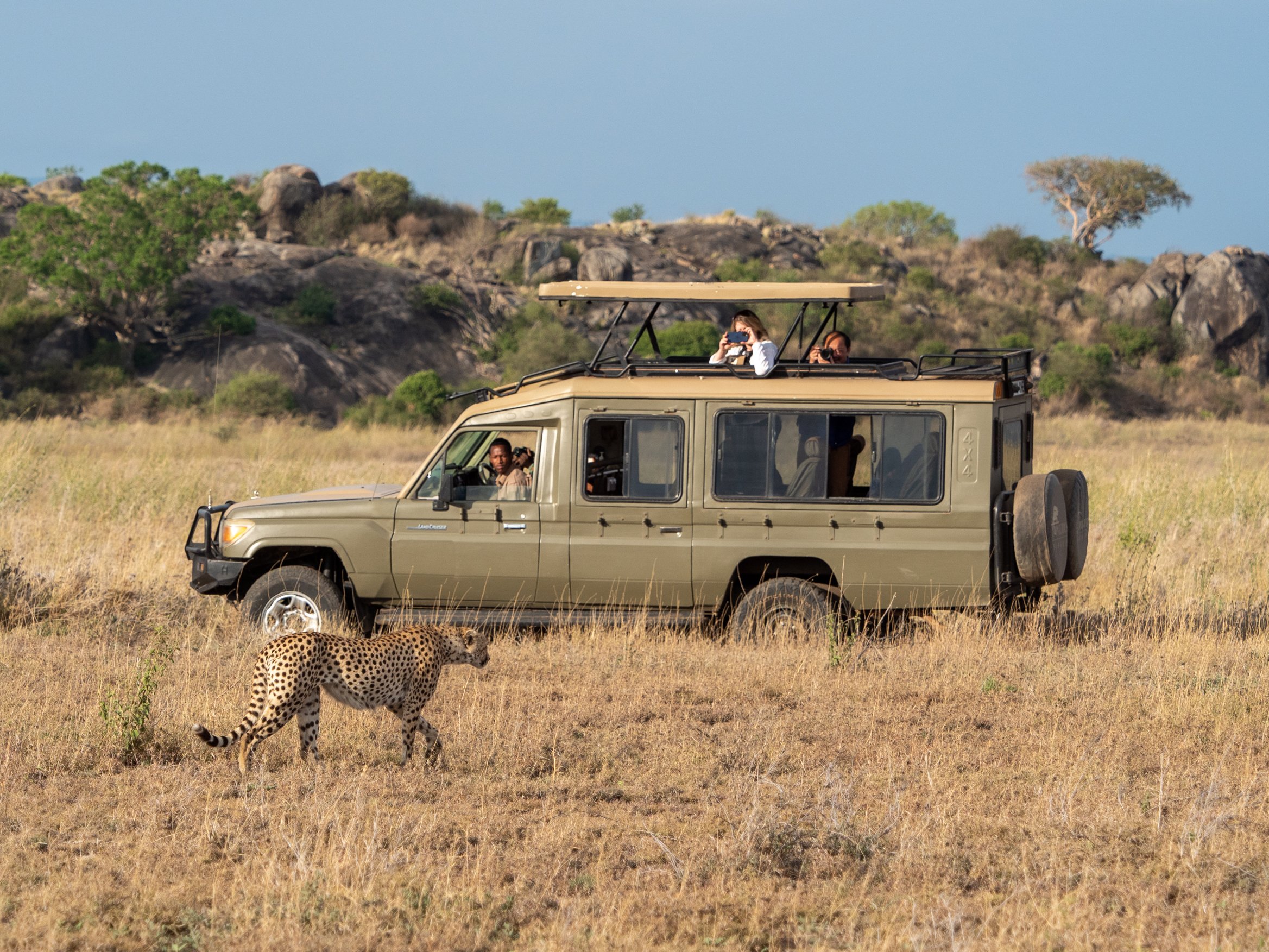 Tanzaniafamilytrip-263808.jpg