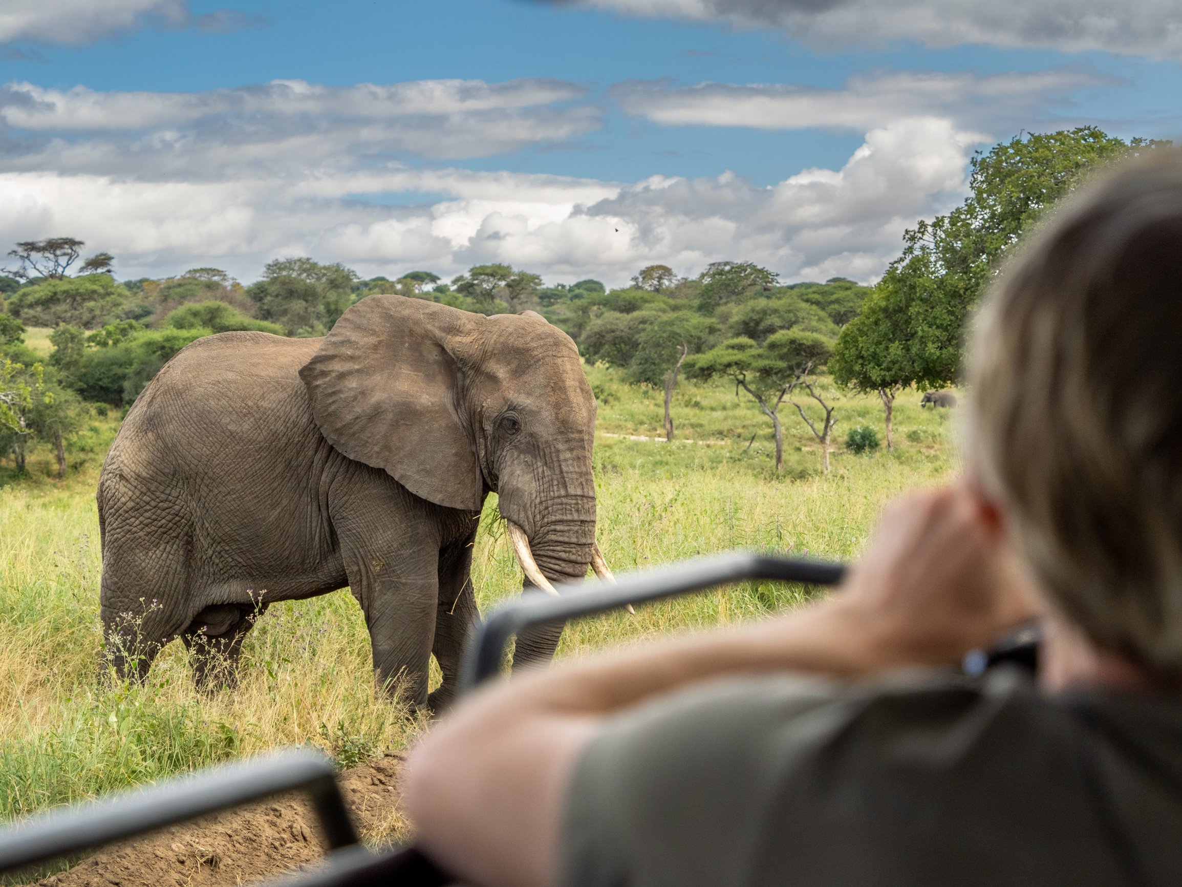 LoriAllenTanzania-6100067.jpg