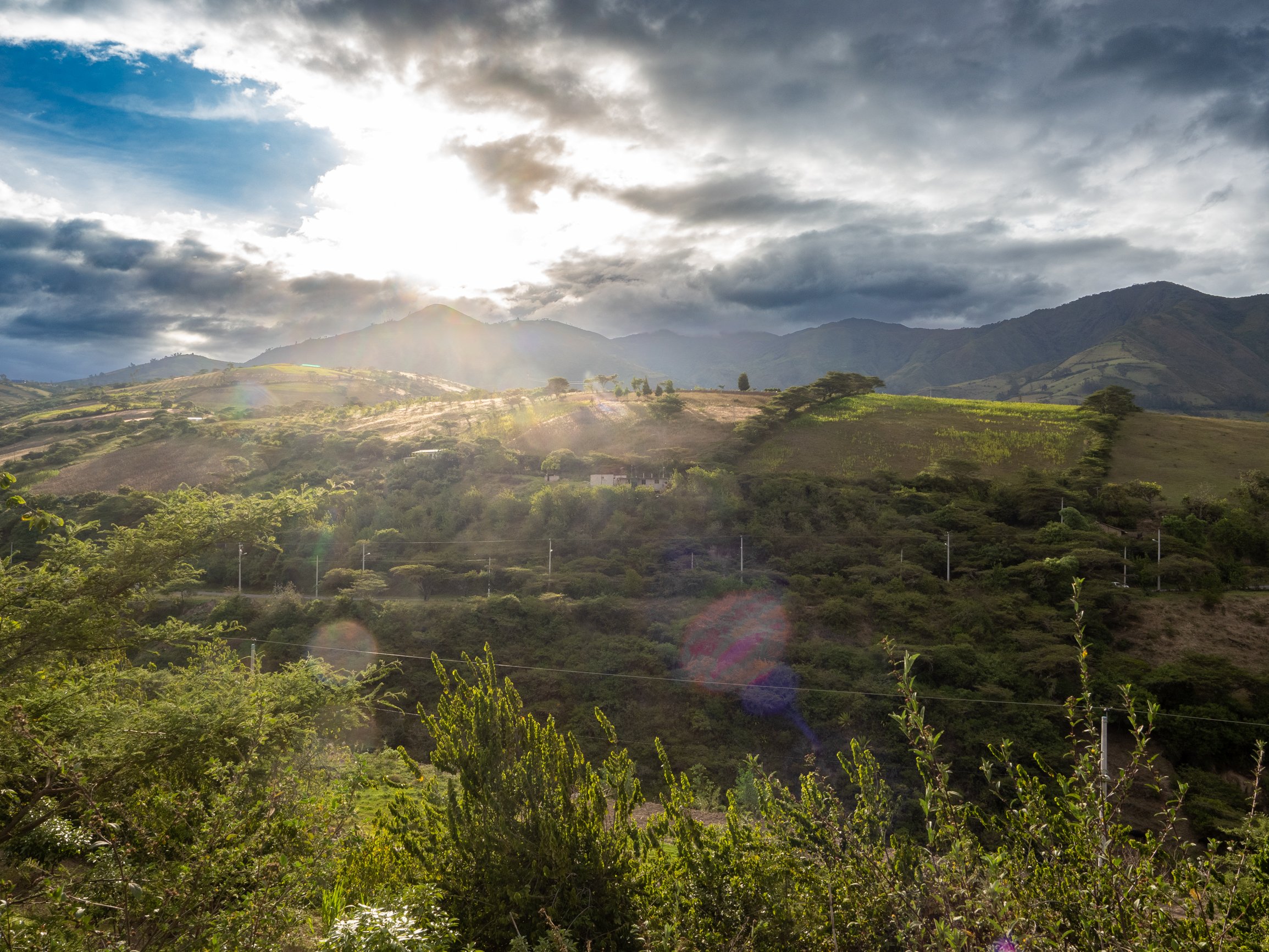 Ecuador Fields.jpg