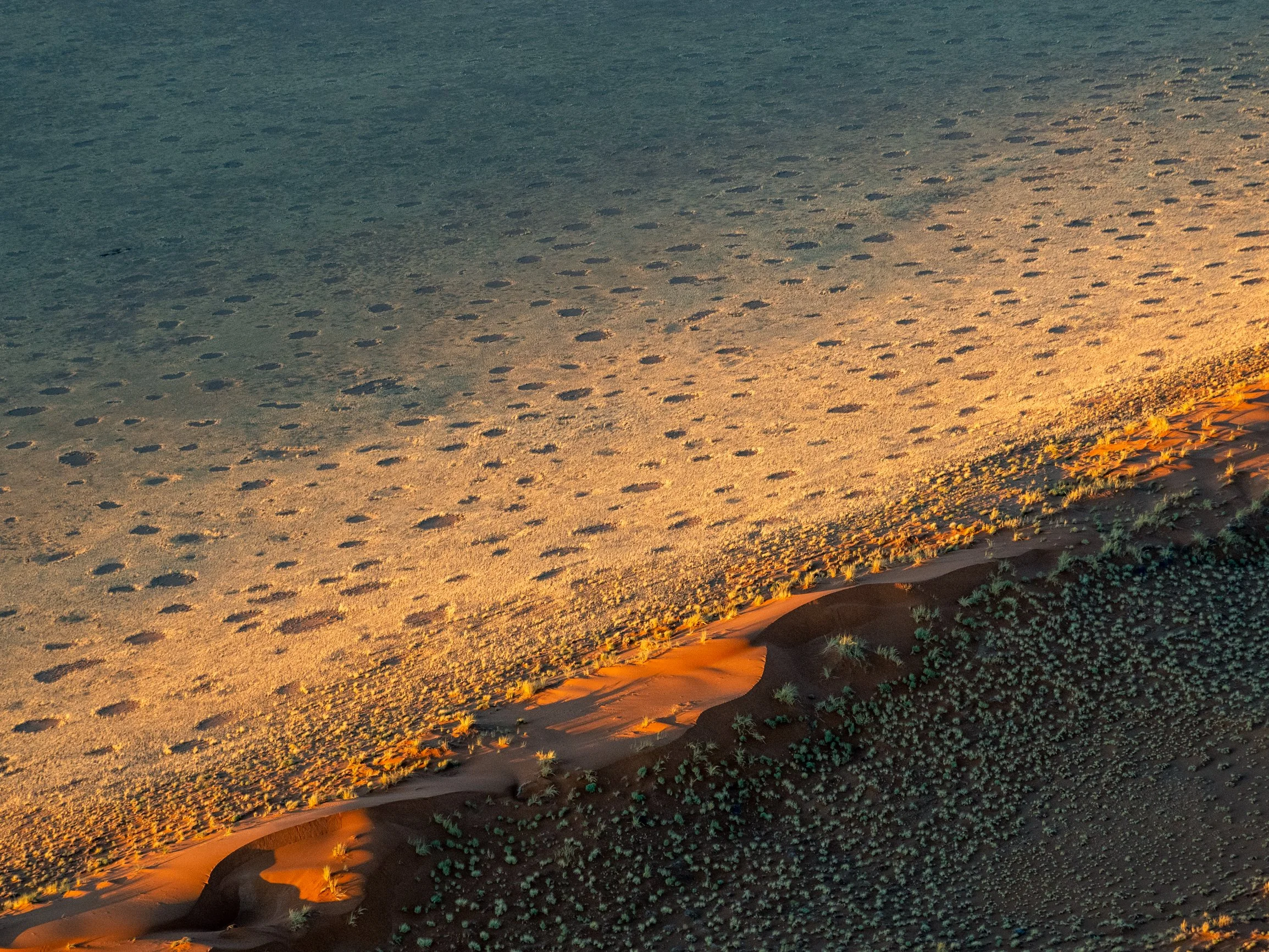 Fairy circles in Namibia on our photography tour