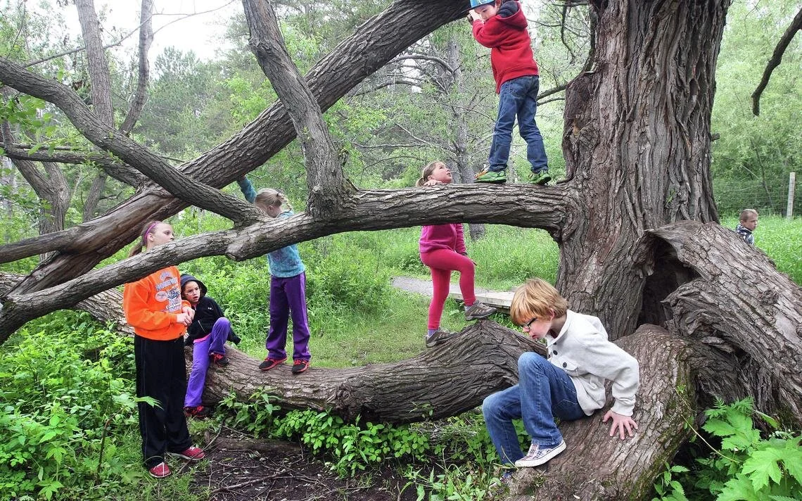 Excerpt from Documentary “Mother Nature’s Child”