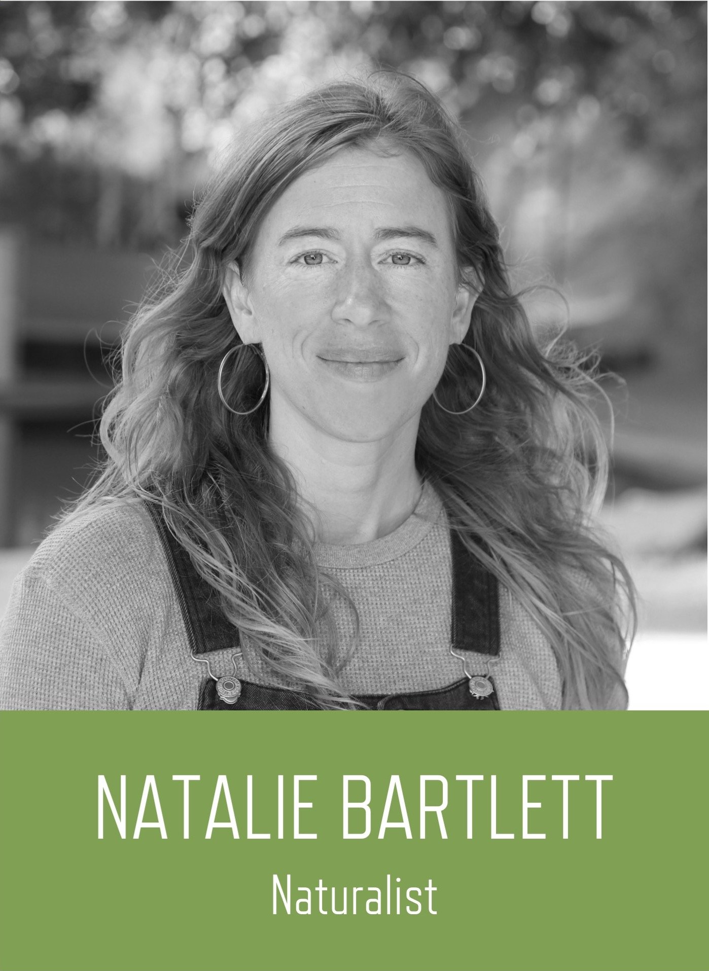 natalie bartlett website thumbnail.jpg