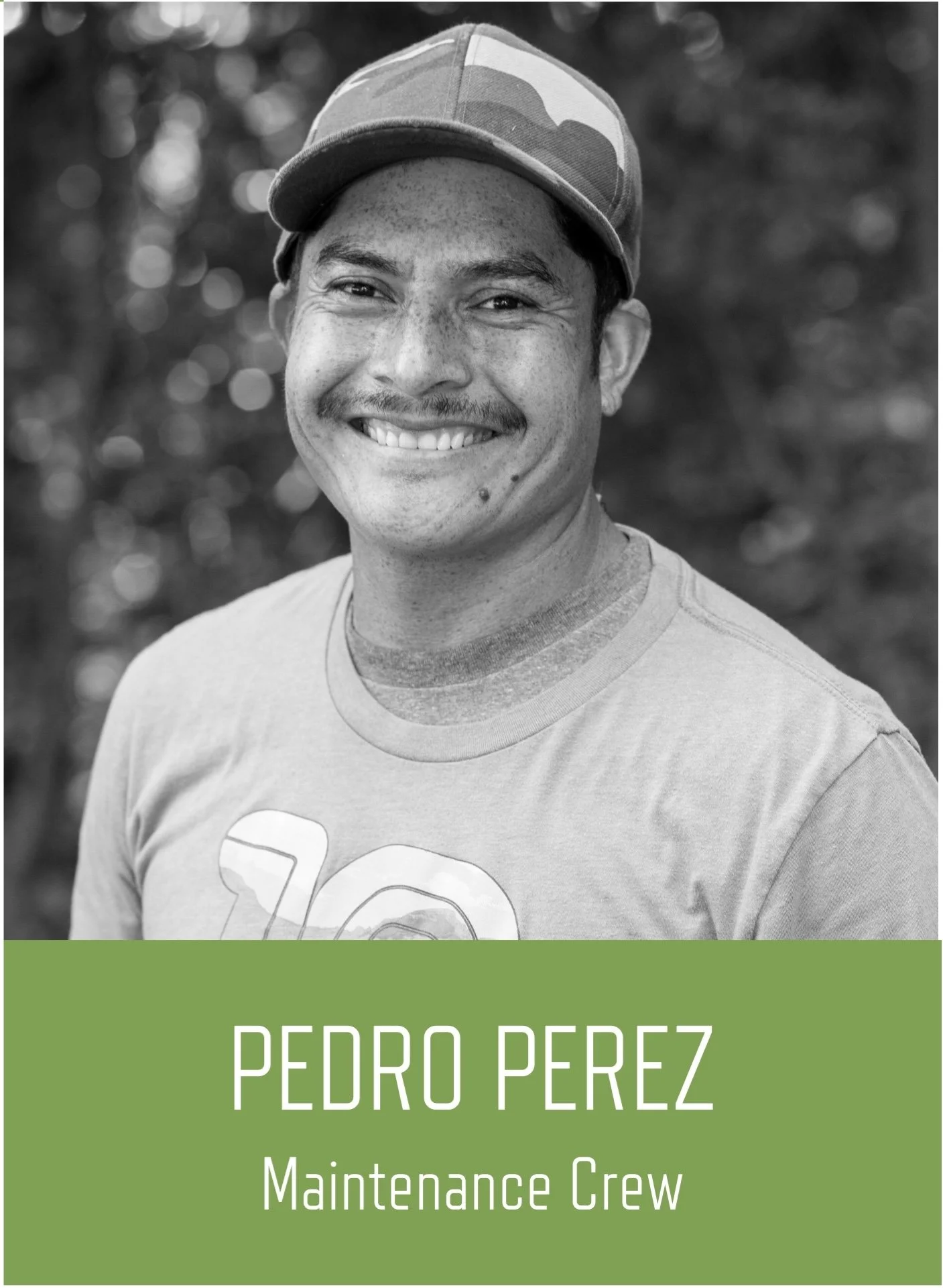 Pedro website thumbnail.jpeg