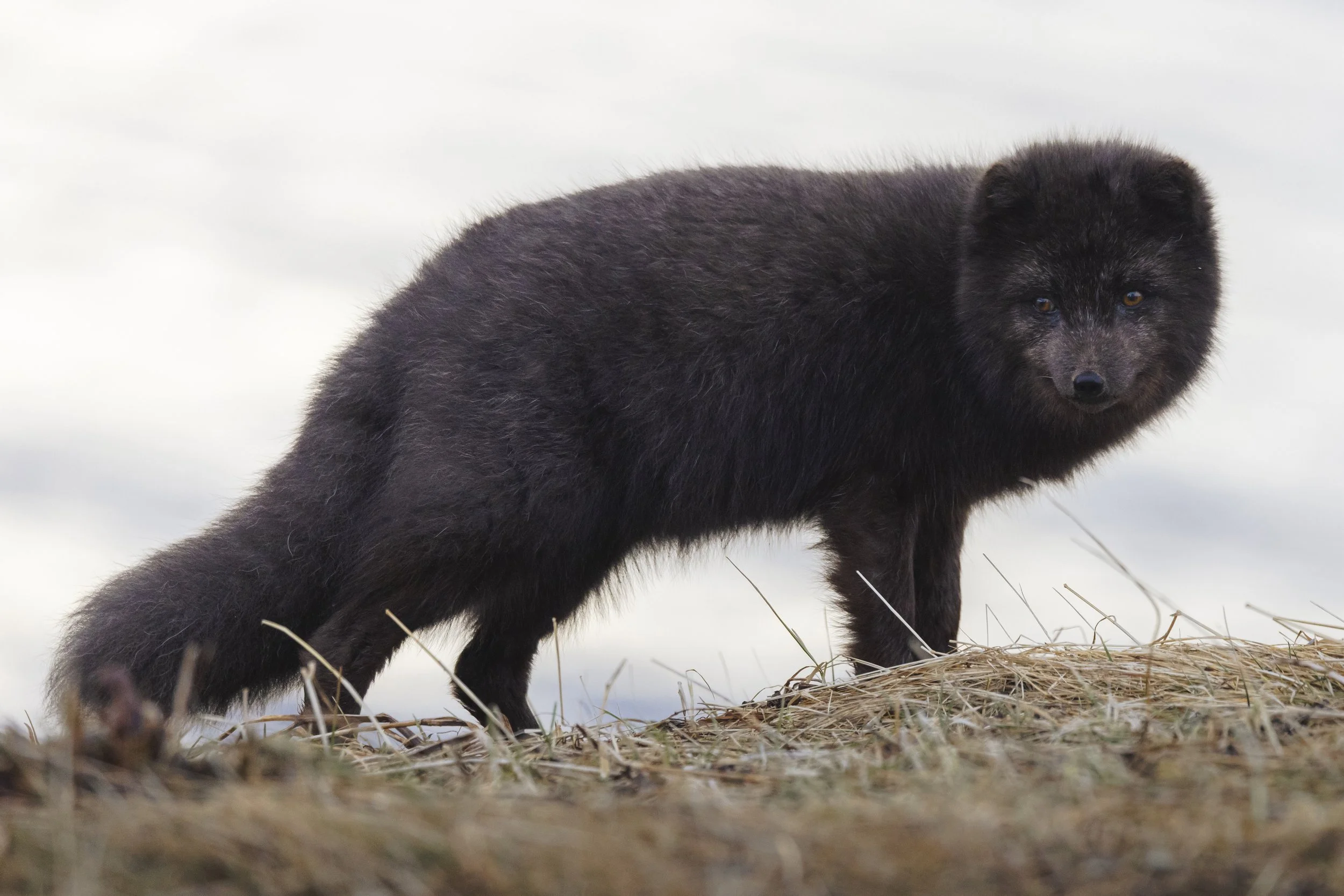 ISLEY_REUST-6085 copy.1.jpg