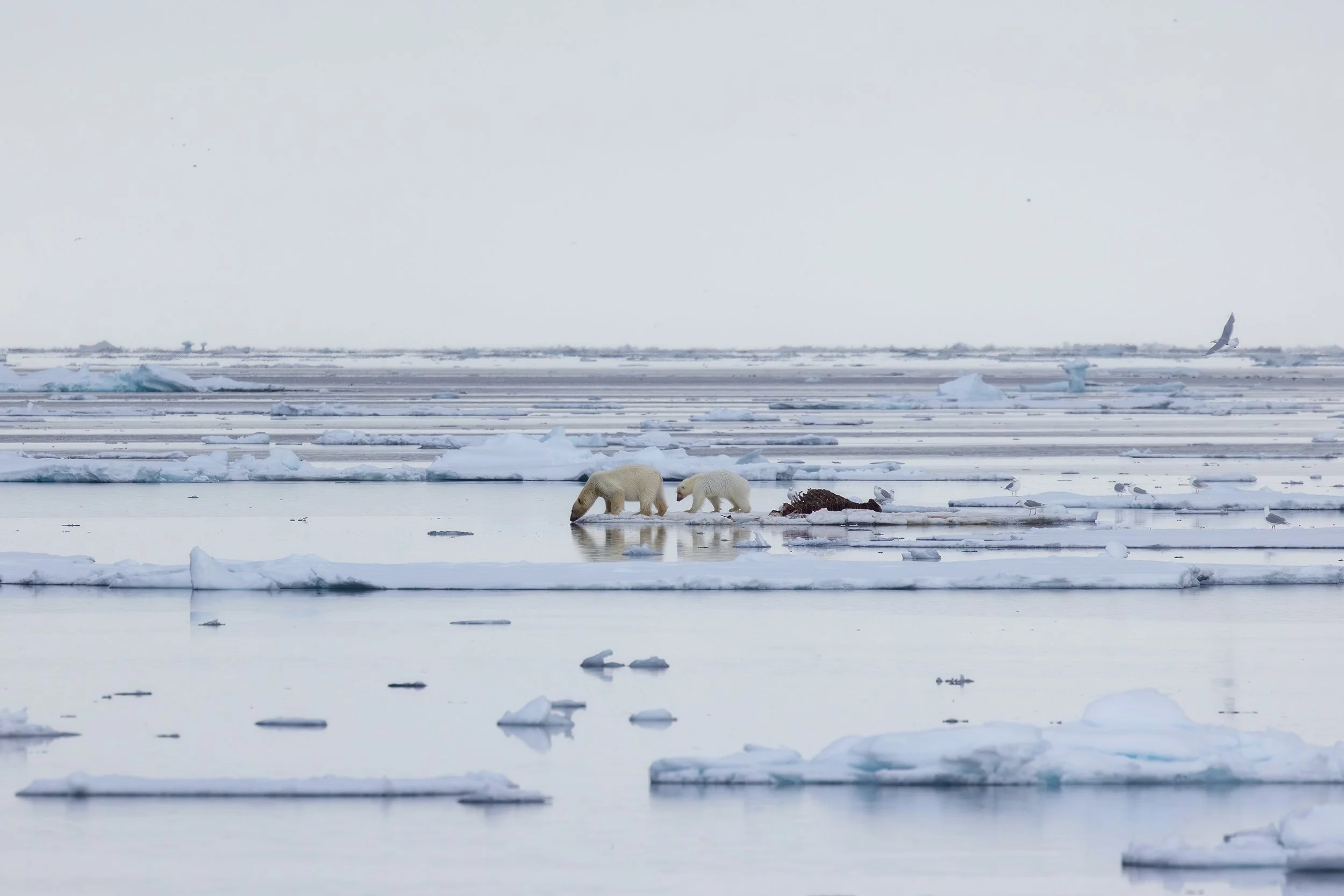 Isley_Reust--2 copy 2.jpg