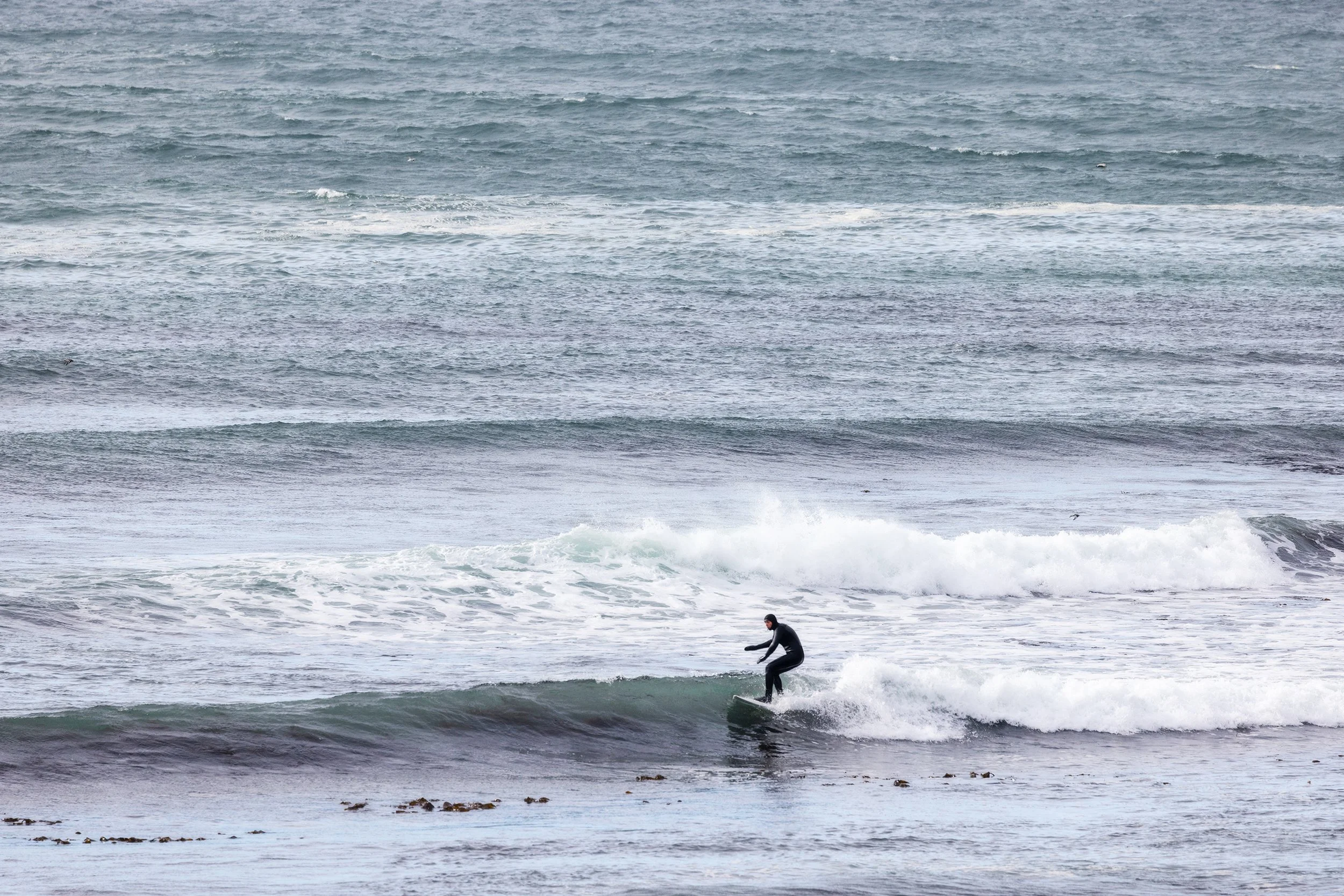 Isley_Reust-8844 copy 3.jpg