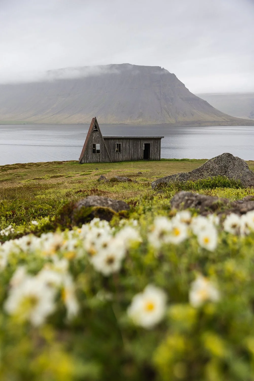 ISLEY_REUST-7393 copy.jpg