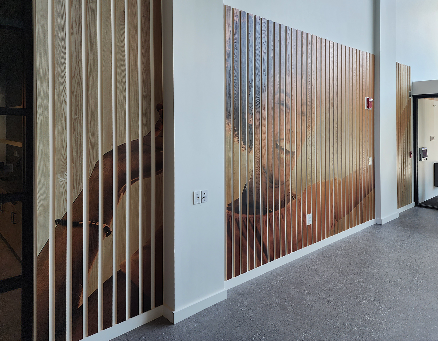 wall graphic 20230721_142249.png