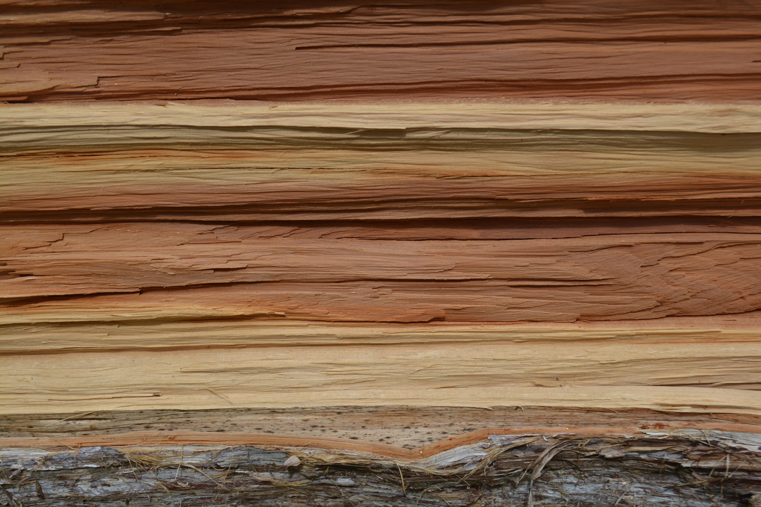 Donelson, Nashville - 2020 