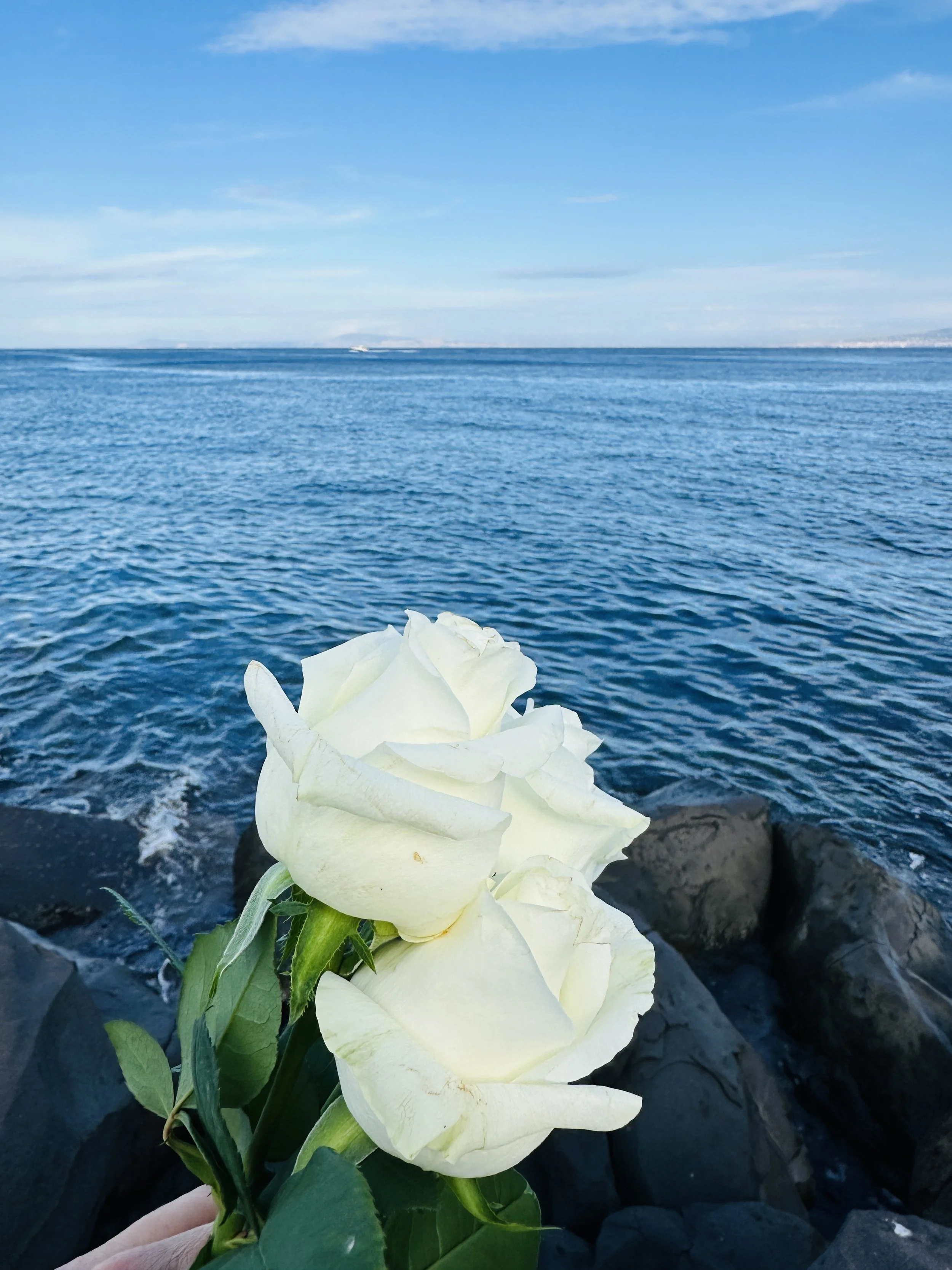 The 12th House Season Experience