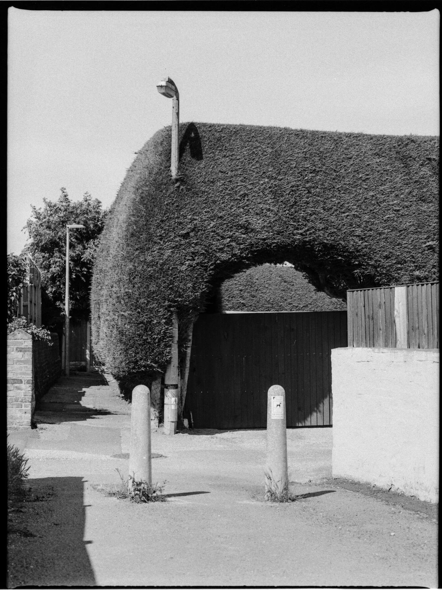 Fomapan 400 on Mamiya RZ67 with 645 film back