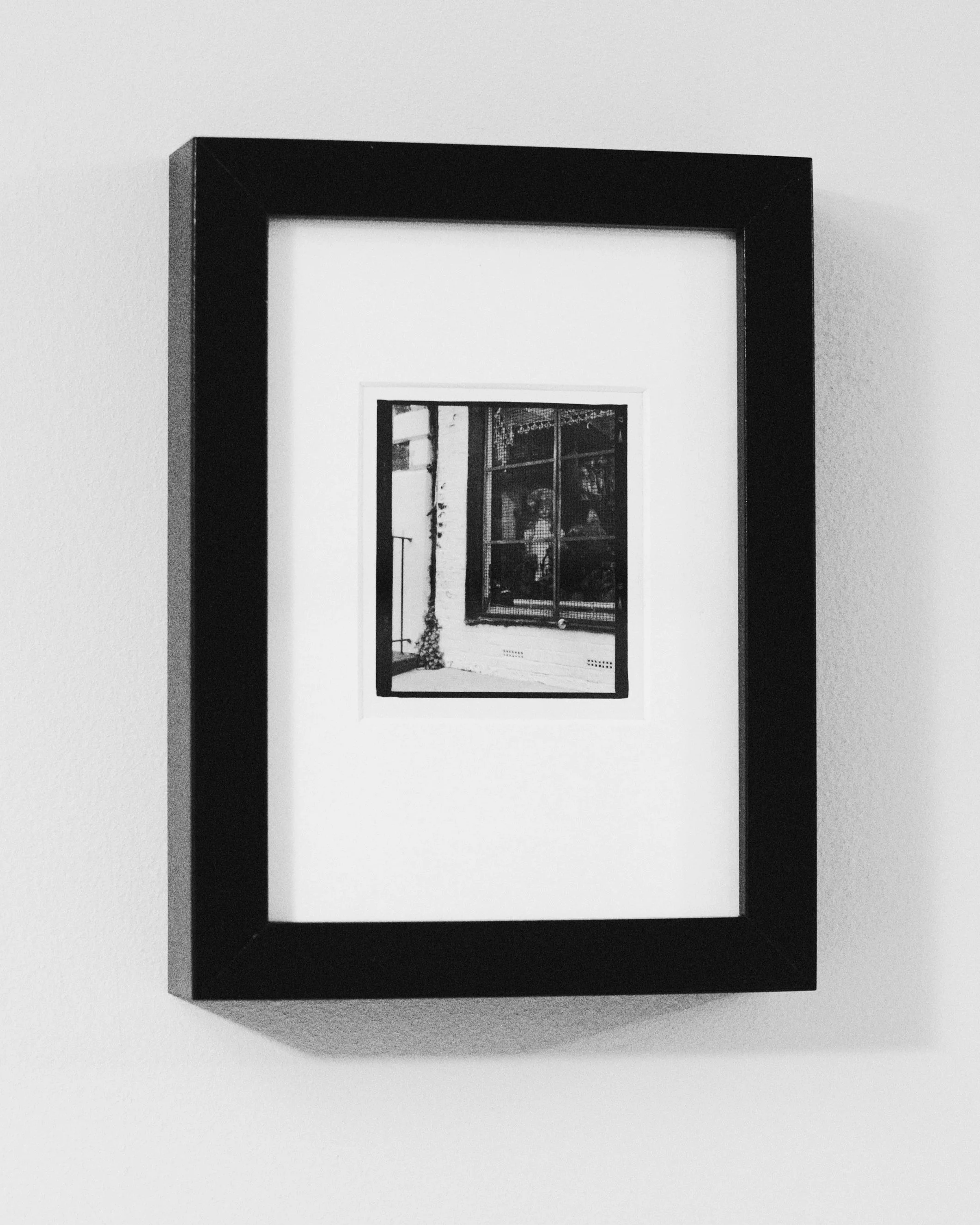 How Much is that Dolly in the Window?