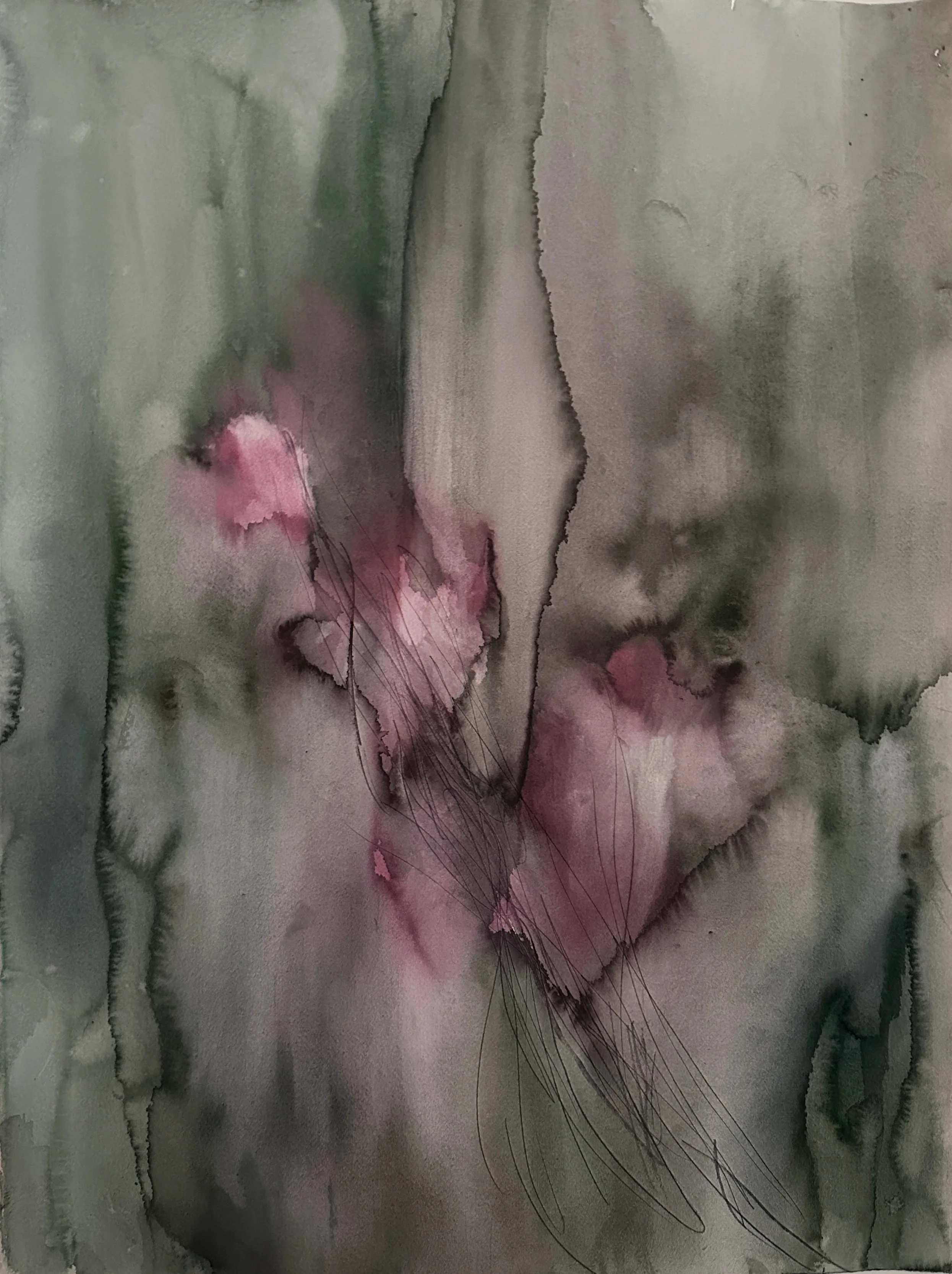 No. 3 (Series I)
Victoria J. Fry (2025)
Watercolor on paper
22 x 30 in.