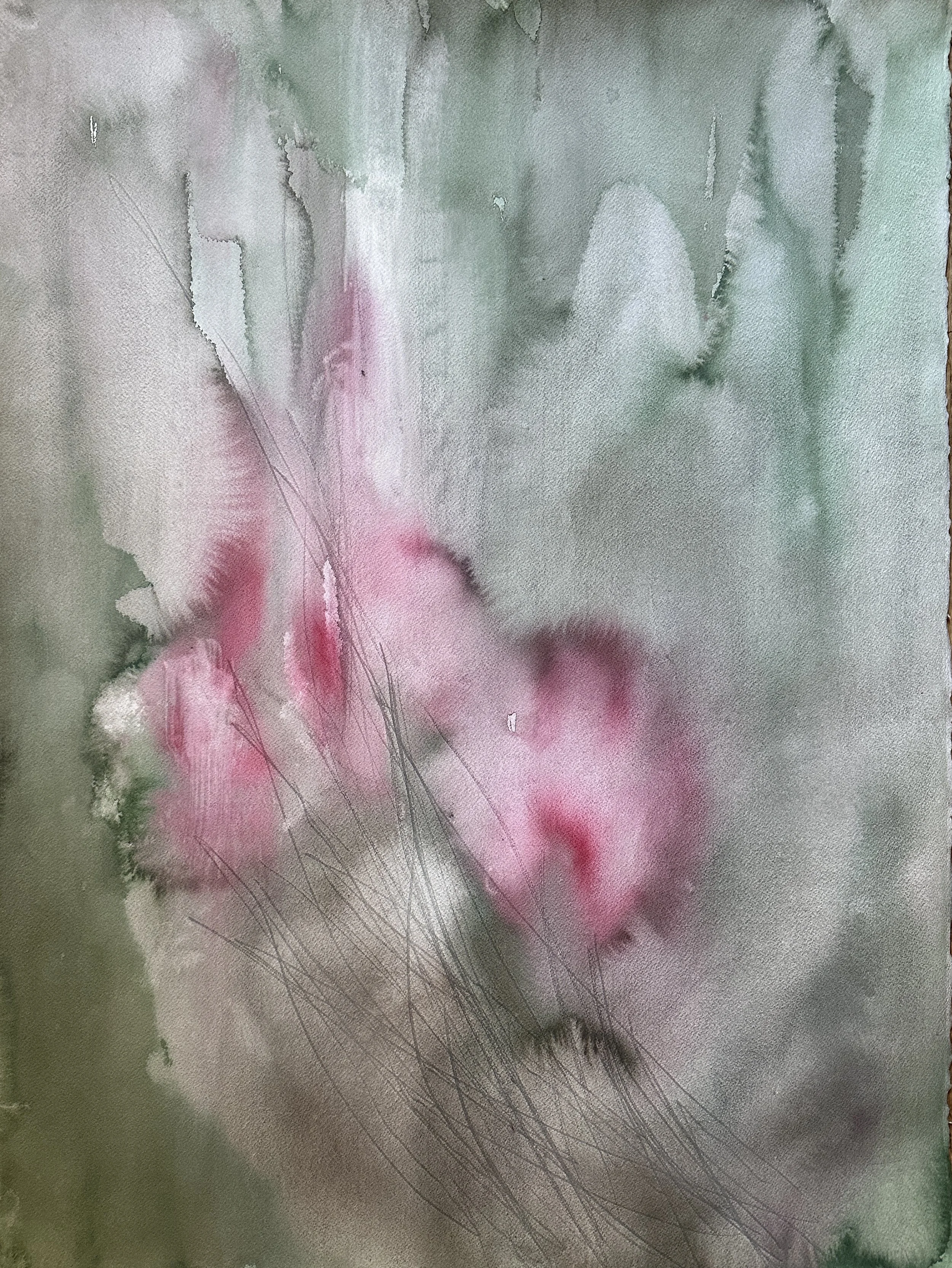 No. 6 (Series I)
Victoria J. Fry (2025)
Watercolor on paper
22 x 30 in.