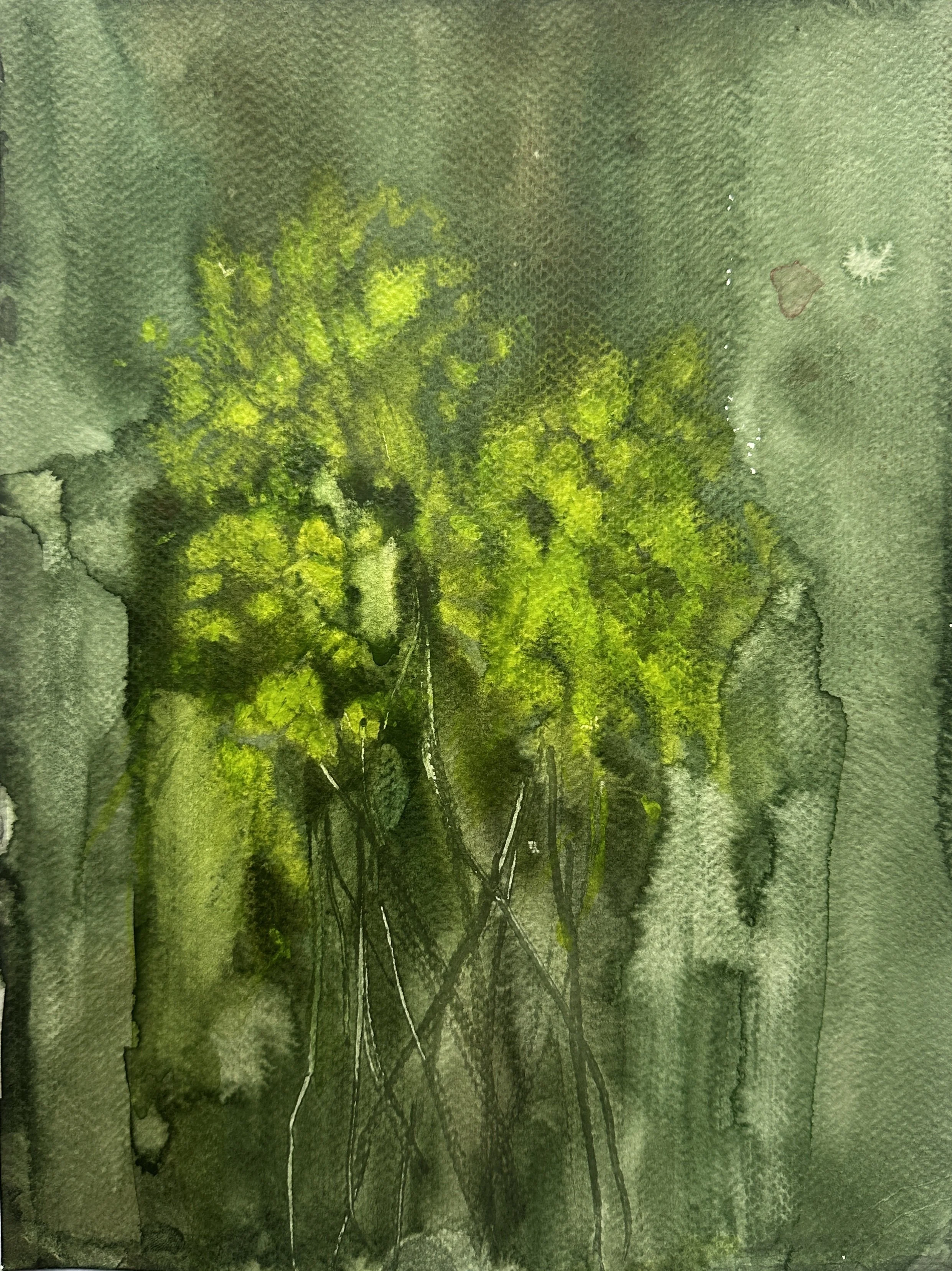 No. 6 (Series II) Victoria J. Fry (2025) Watercolor on paper 9 x 12 in.