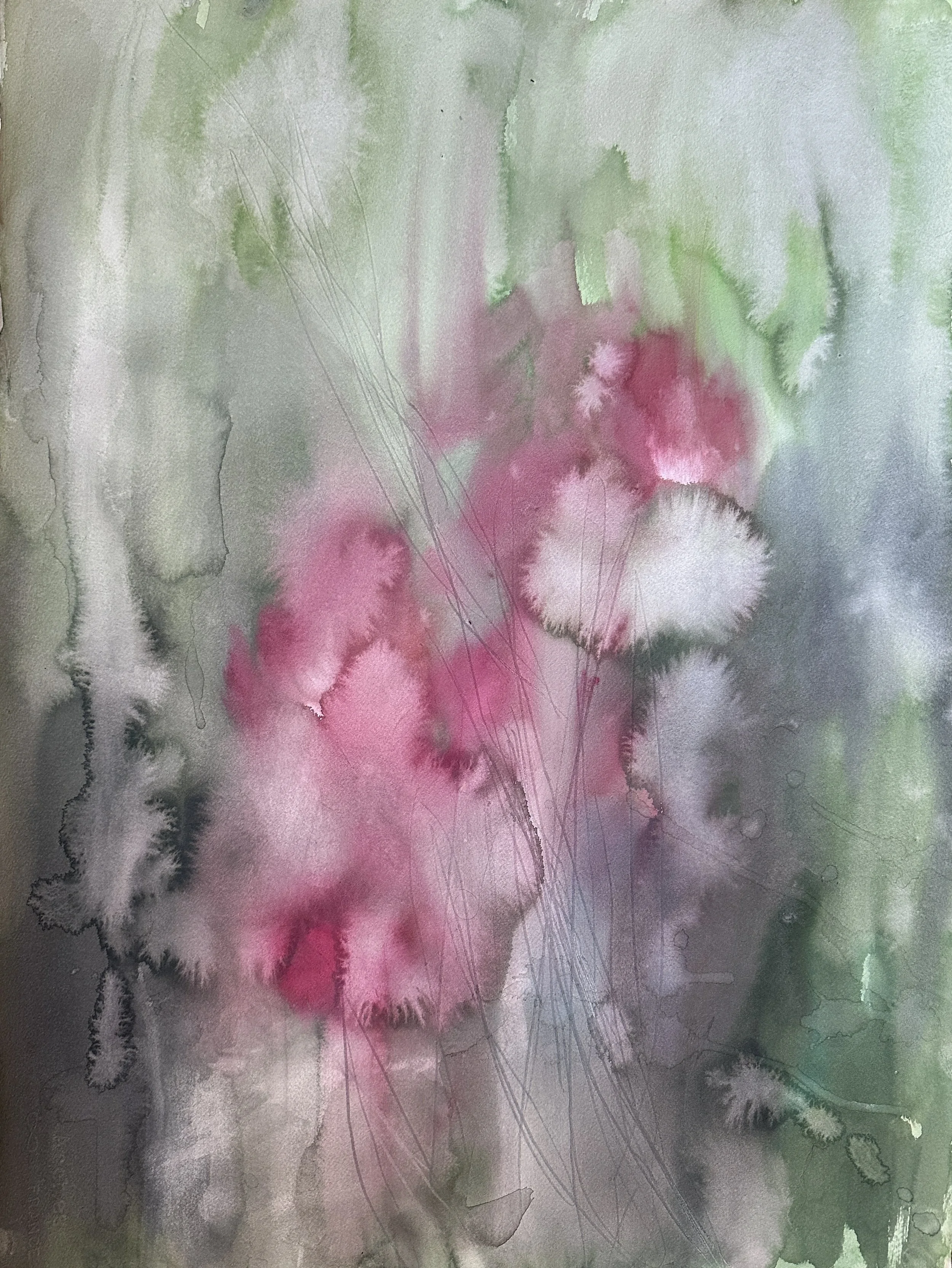 No. 9 (Series I)
Victoria J. Fry (2025)
Watercolor on paper
22 x 30 in.