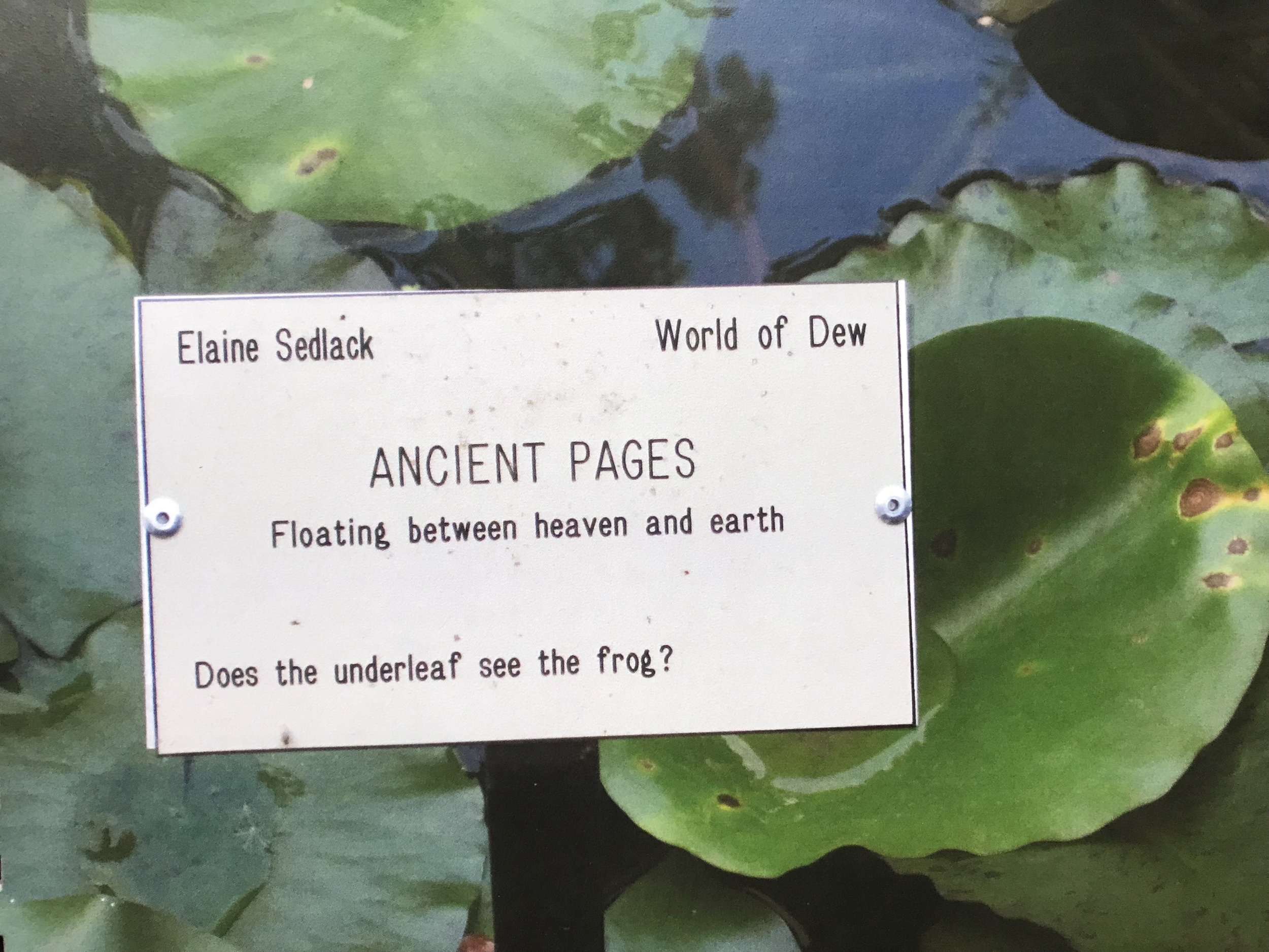 natural 1.jpeg