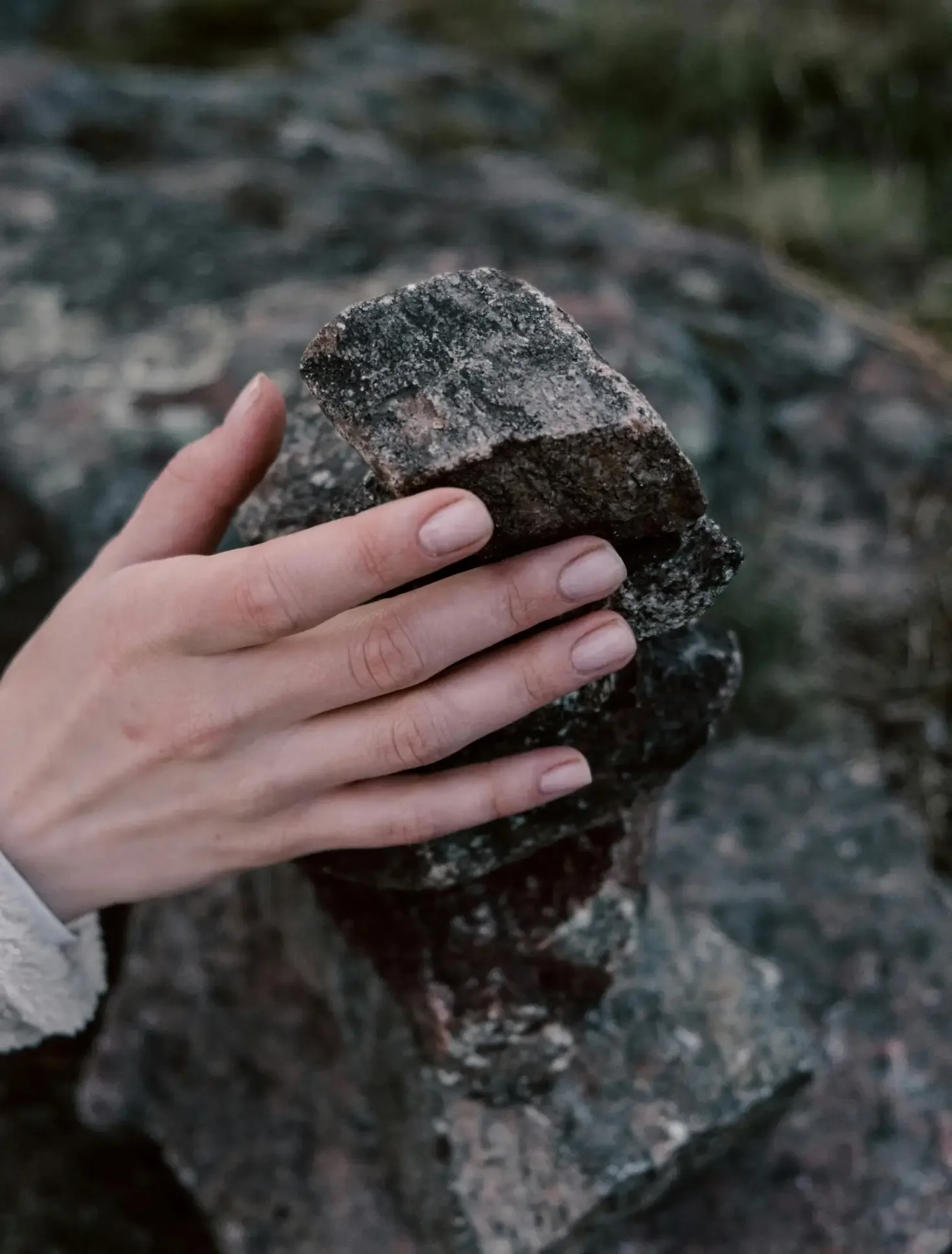A close-up of a person's hand holding a gray and black rock among other rocks outdoors.