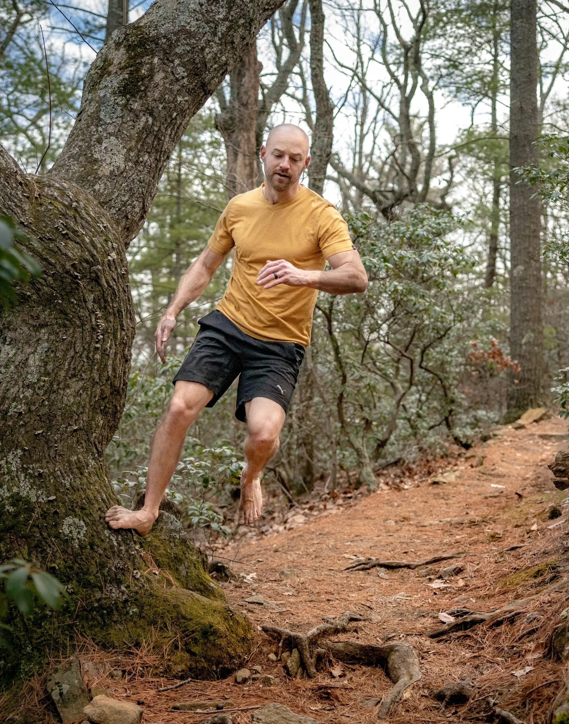 A man barefooted, wearing a yellow t-shirt and black shorts, is walking on a trail in the woods, stepping on large tree.
