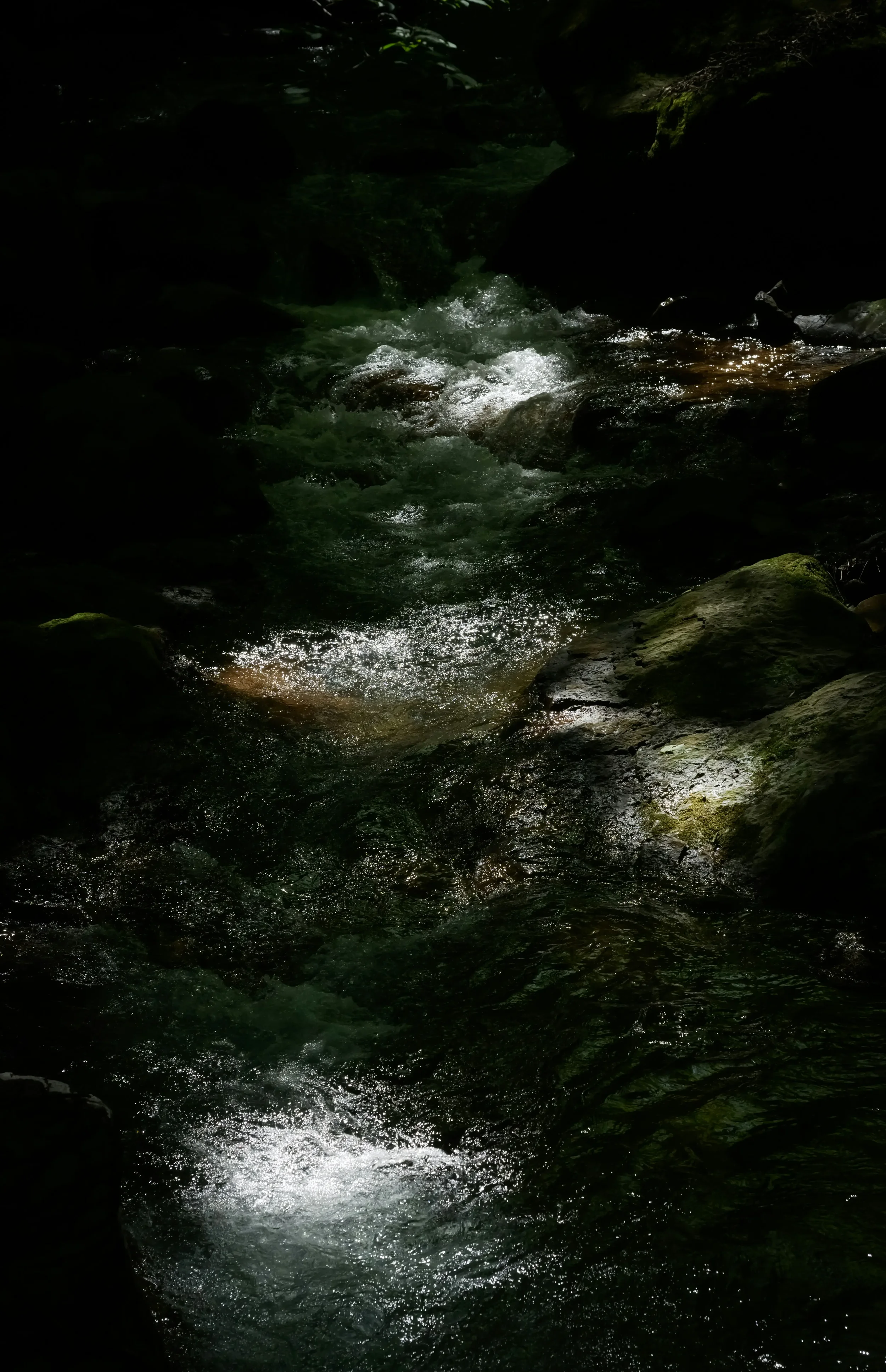 Dark, rocky stream with patches of sunlight reflecting off the water