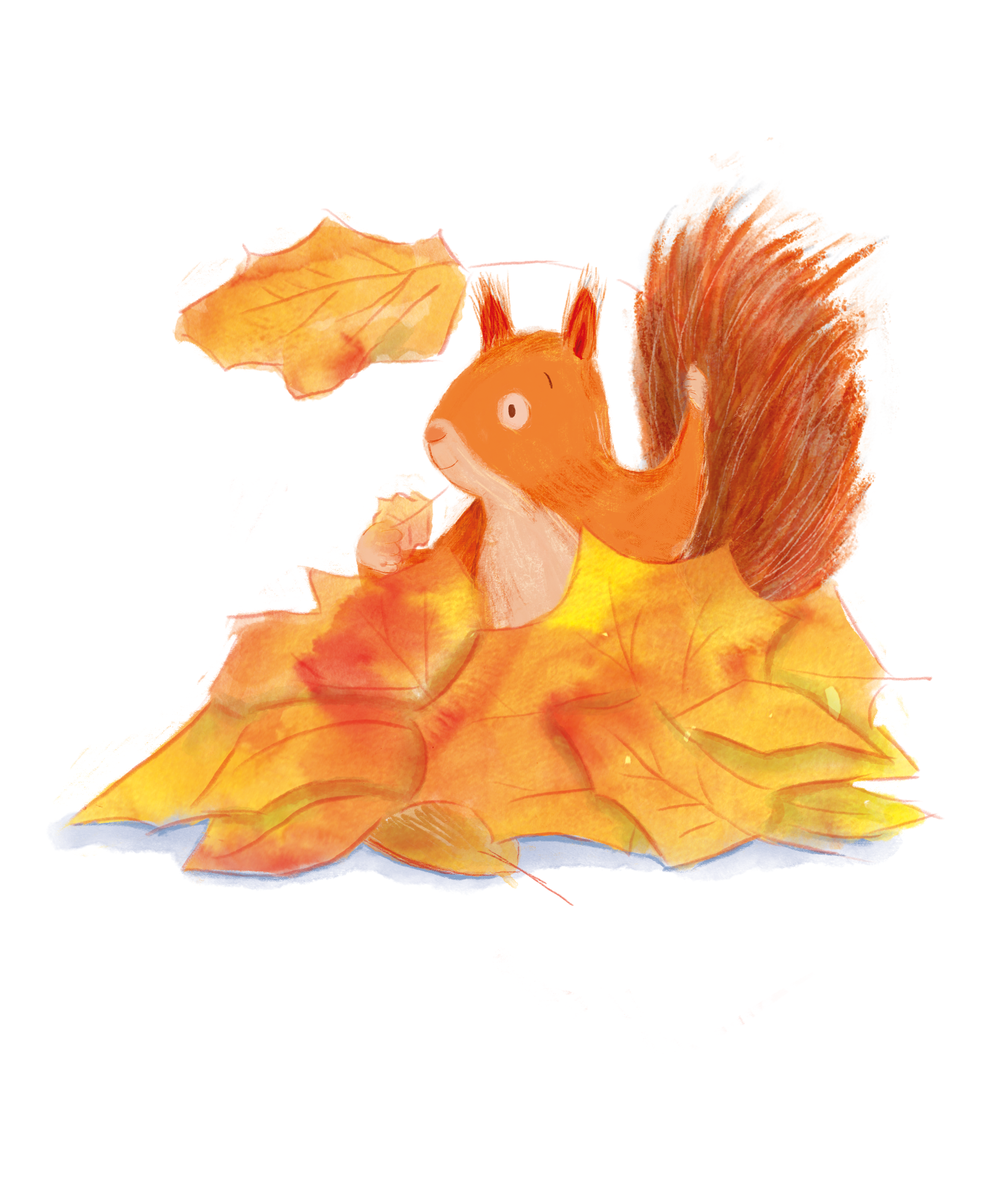 Squirrel_2.png