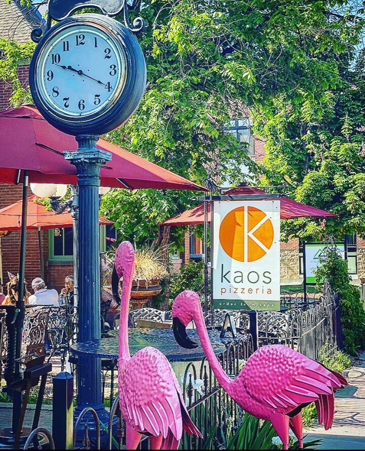 Flamingos seem to be enjoying all that Pearl Street has to offer. Wonder if they are closer to finding their home.