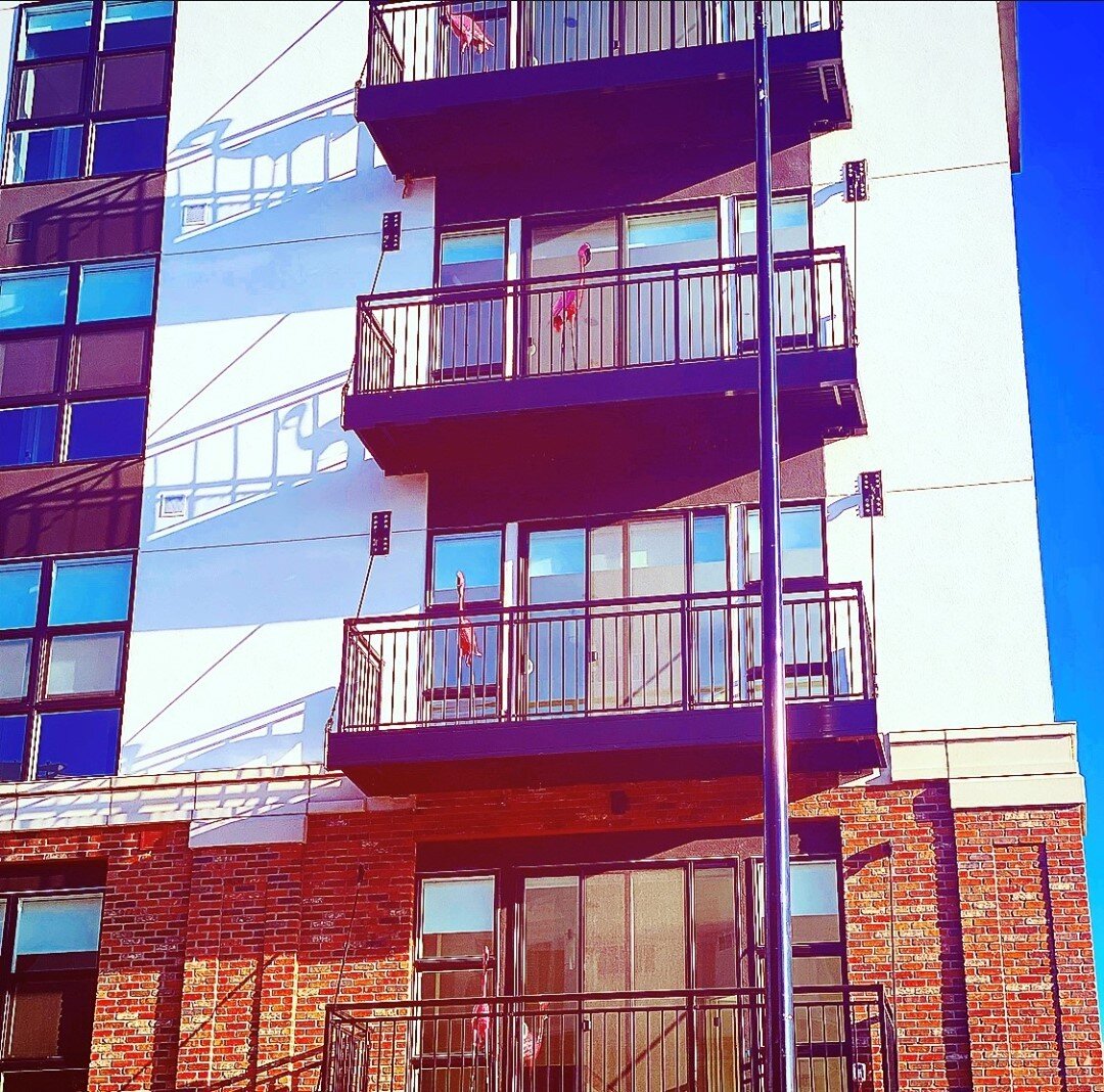 Flamingos hanging out on their balconies enjoying their new home!