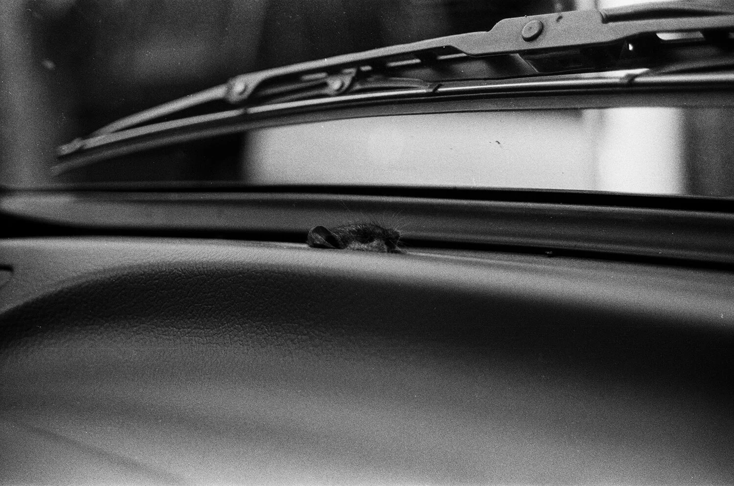 web-pickup-truck-hanging-rock-melbourne-1995-by-reggie-stewart.jpg