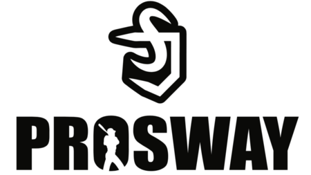 ProSway.png