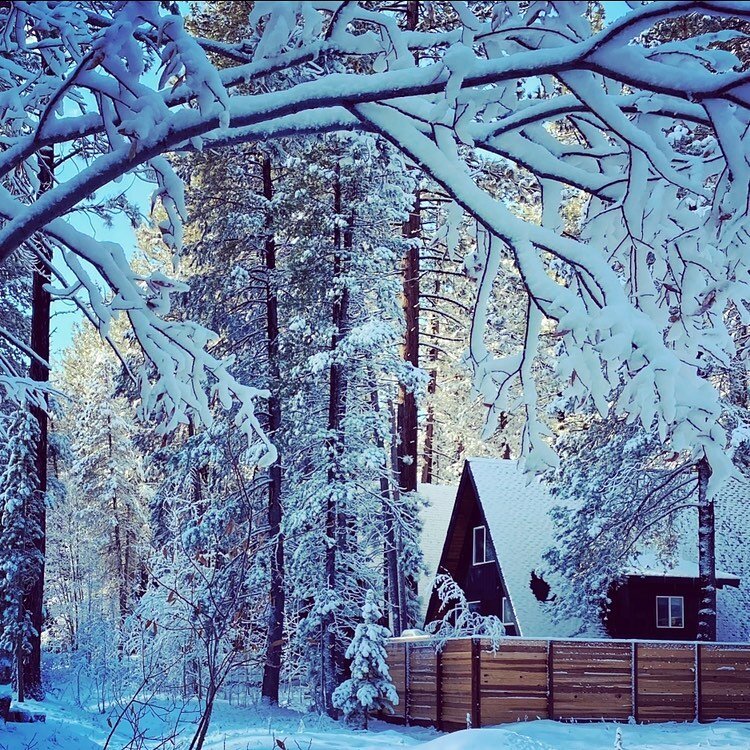 Another snow dumping is on its way tonight!!! SO. MUCH. POWDER !!!!!!!!!!!! 

Christmas and New Years are still available with a 5 night minimum stay!  Grab it before it&rsquo;s GONE!

#tahoe #christmasintahie #snow #cabin #cabiinthewoods #tinyhome #