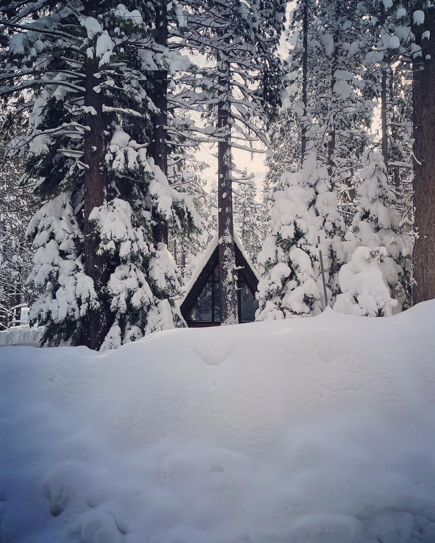 All tucked in and looking pretty 🤩 

Our calendars are OPEN and there&rsquo;s one week left in January 24-28.  February - April are already filling FAST&hellip;and with a base like this, it looks like Spring Skiing is ON! 

#tahoe #cabininthesnow #a